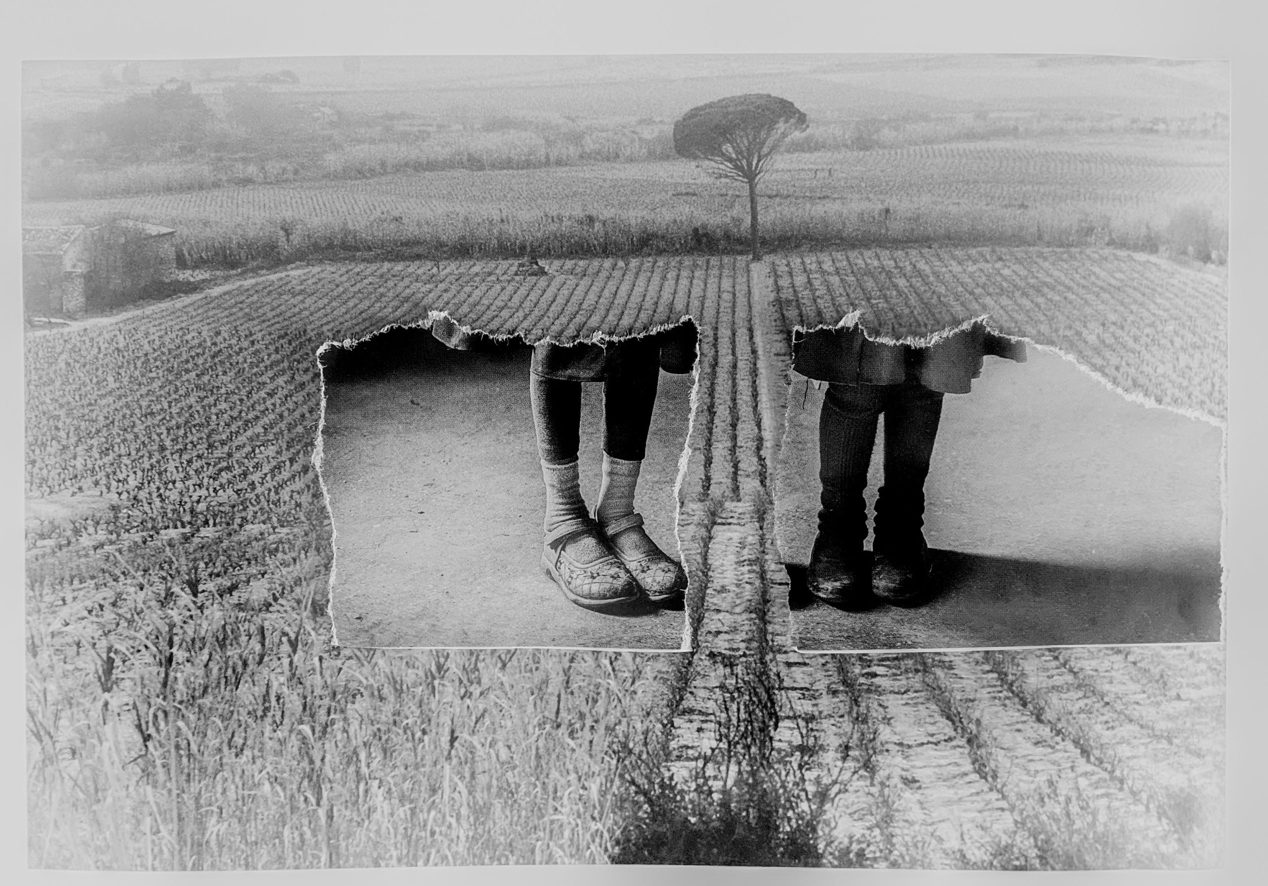 Слёзы и надежды моей матери. Анна Полонеева фотография фотохудожник визуальная художница портреты