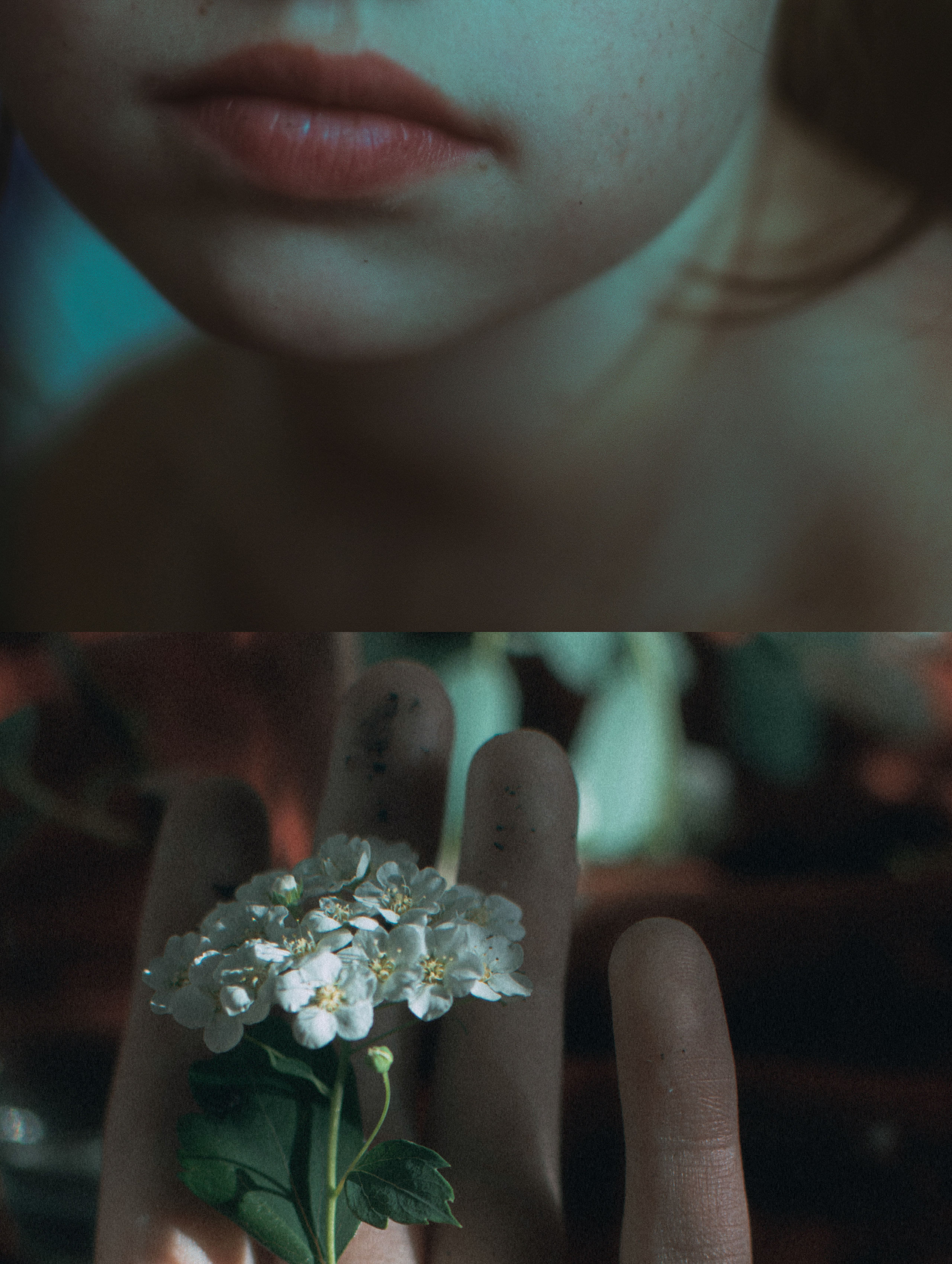 Люди — цветы. Анна Полонеева фотография фотохудожник визуальная художница портреты