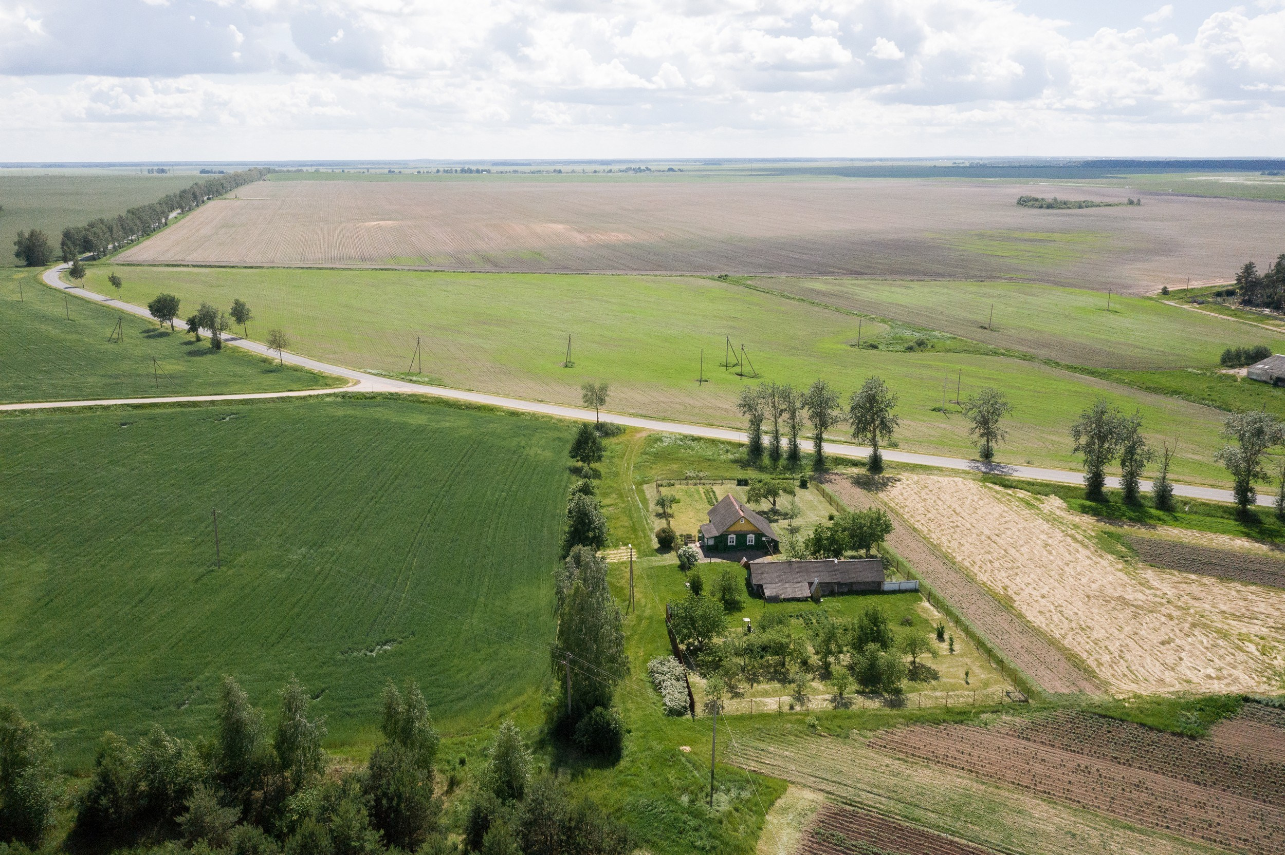 Home.land. Künstler Verstecktoff