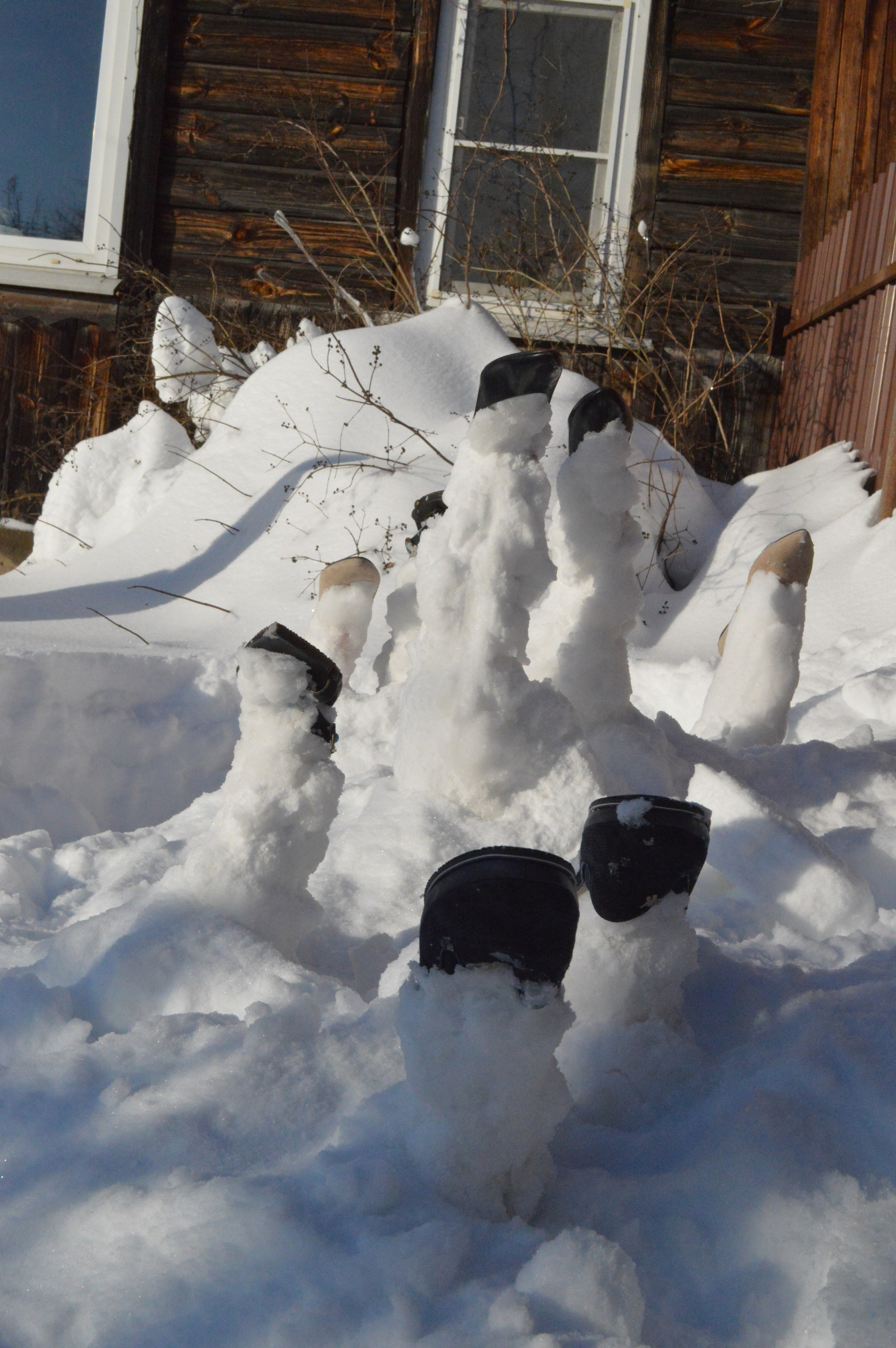 «Хроники холода» 2020. Лилия Ким. Междисциплинарный художник