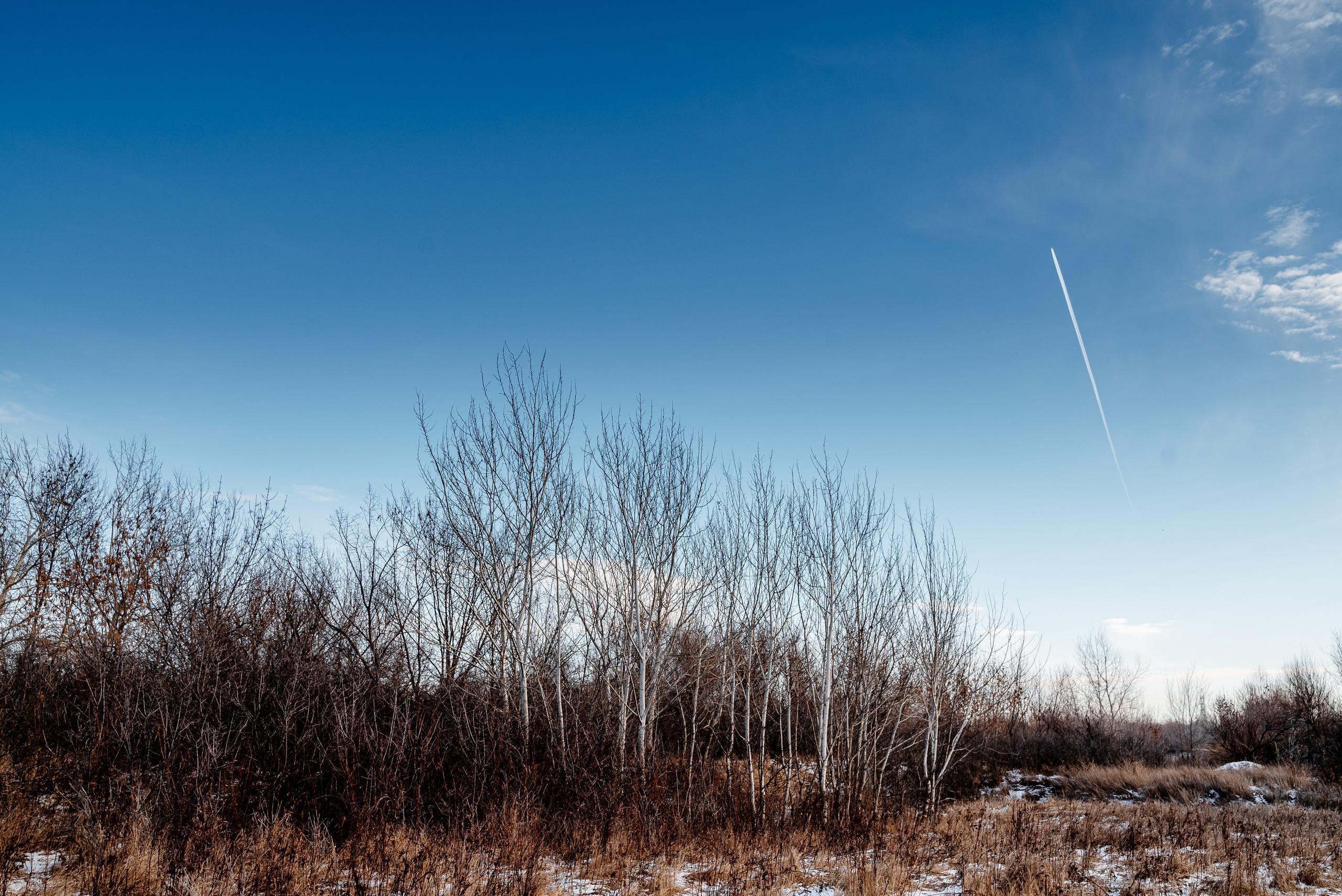 Пейзажи. Фотограф в Уральске | Трищенков Гордей