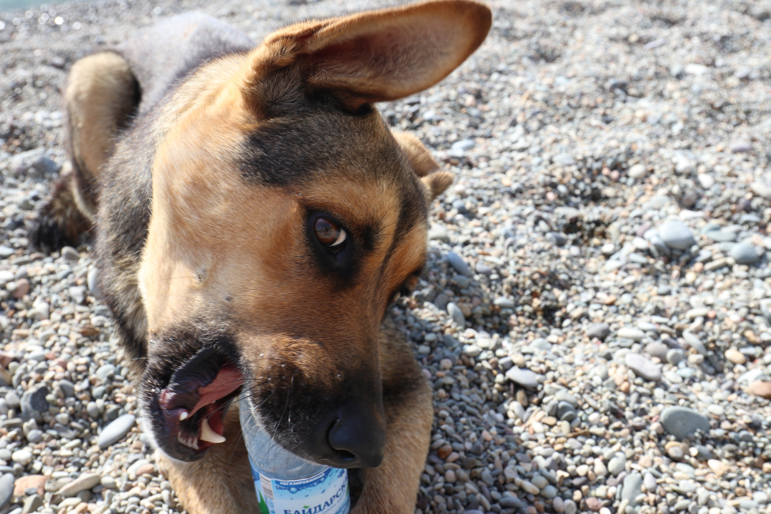 Крым. ЮБК (Фиолент, Ай-Петри, Роман-Кош). Знакомство. Октябрь 2017. Путешественник-фотограф из Санкт-Петербурга Татьяна Свистулина