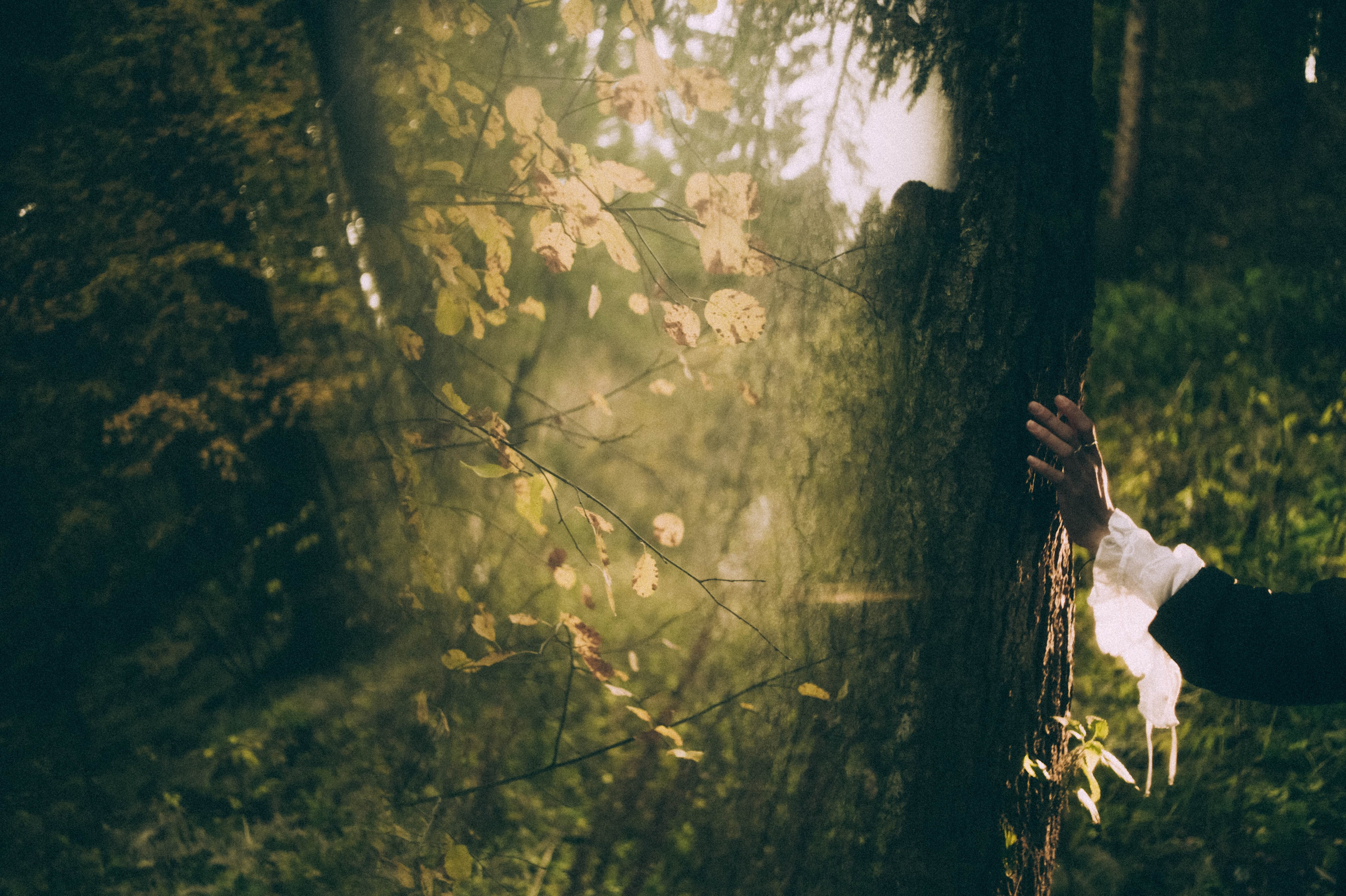 Старкова Кристина фотограф Пермь