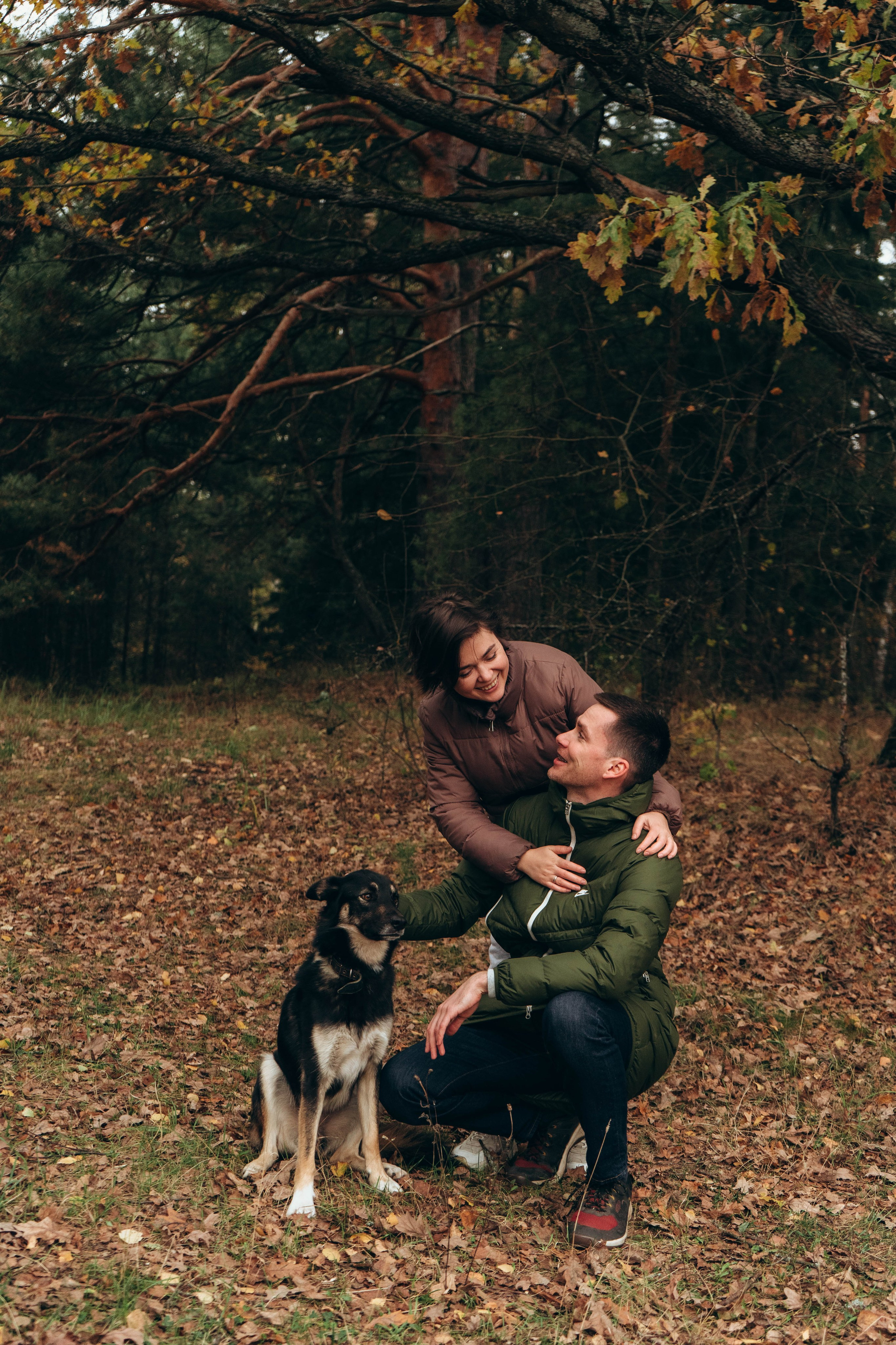 Даша, Леша и Гарри