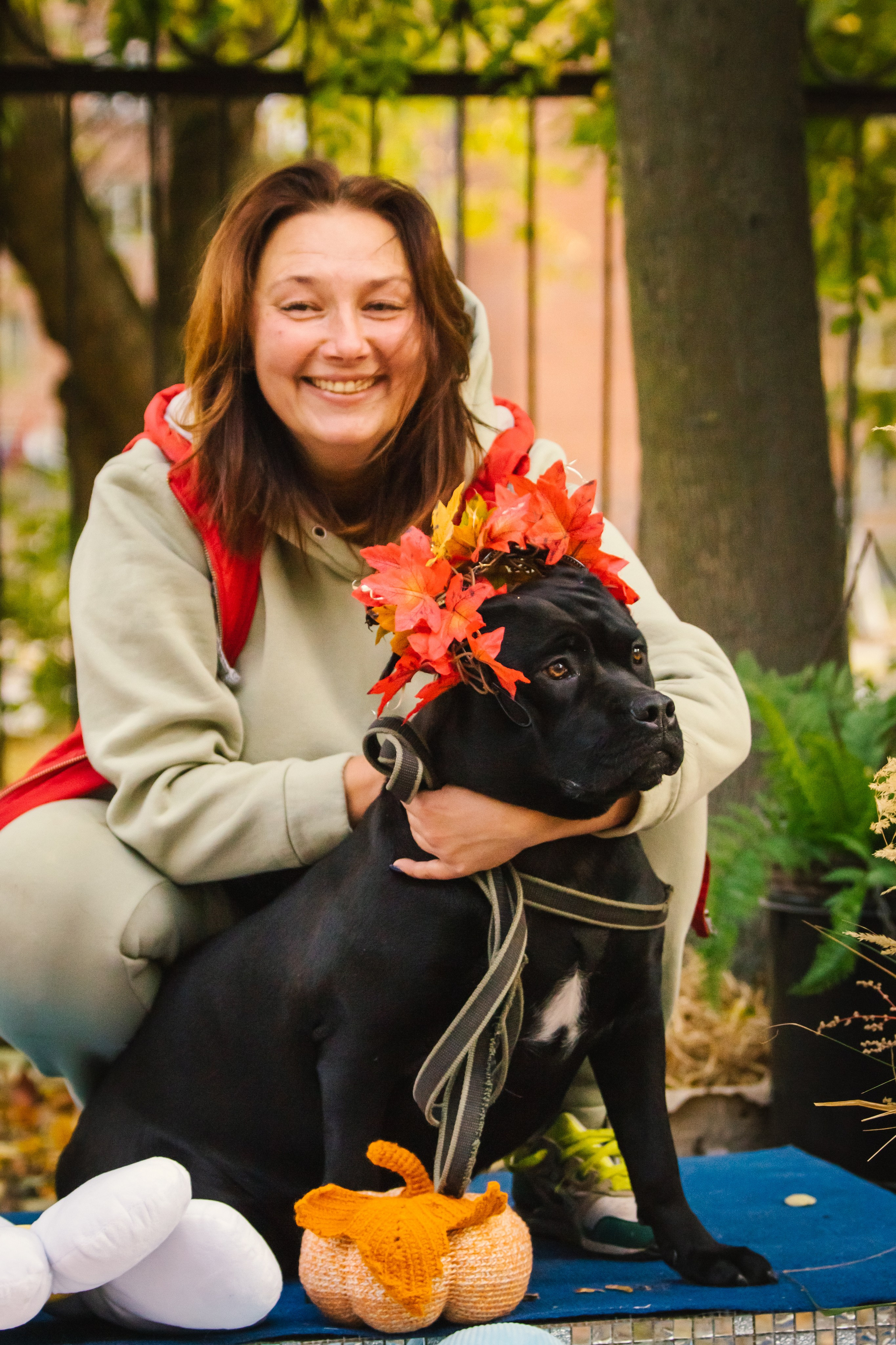 Костюмированный парад собак. Фотограф анималист — Тула, Москва