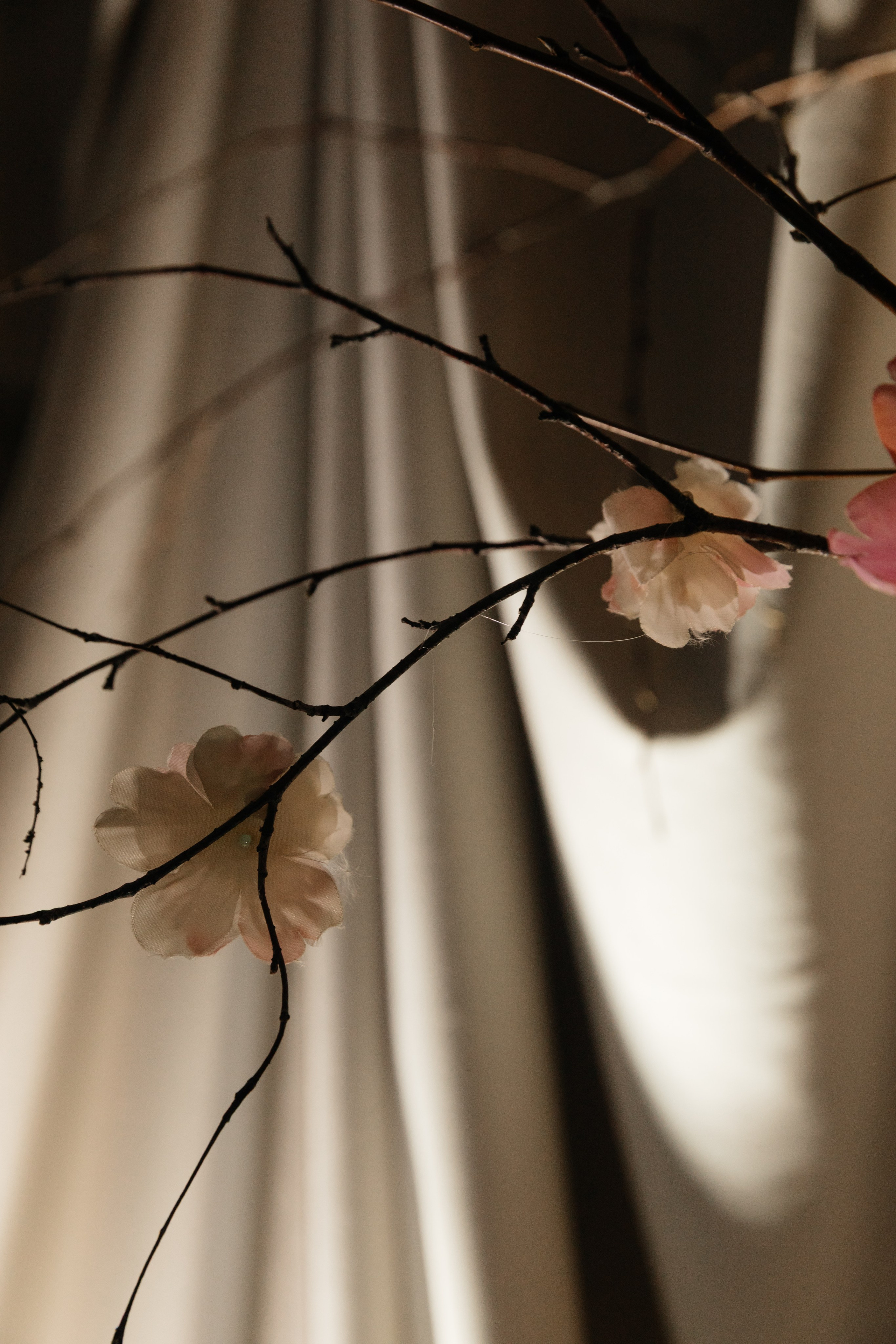 Рига-Москва малый зал. Фотограф Семён Гнеушев