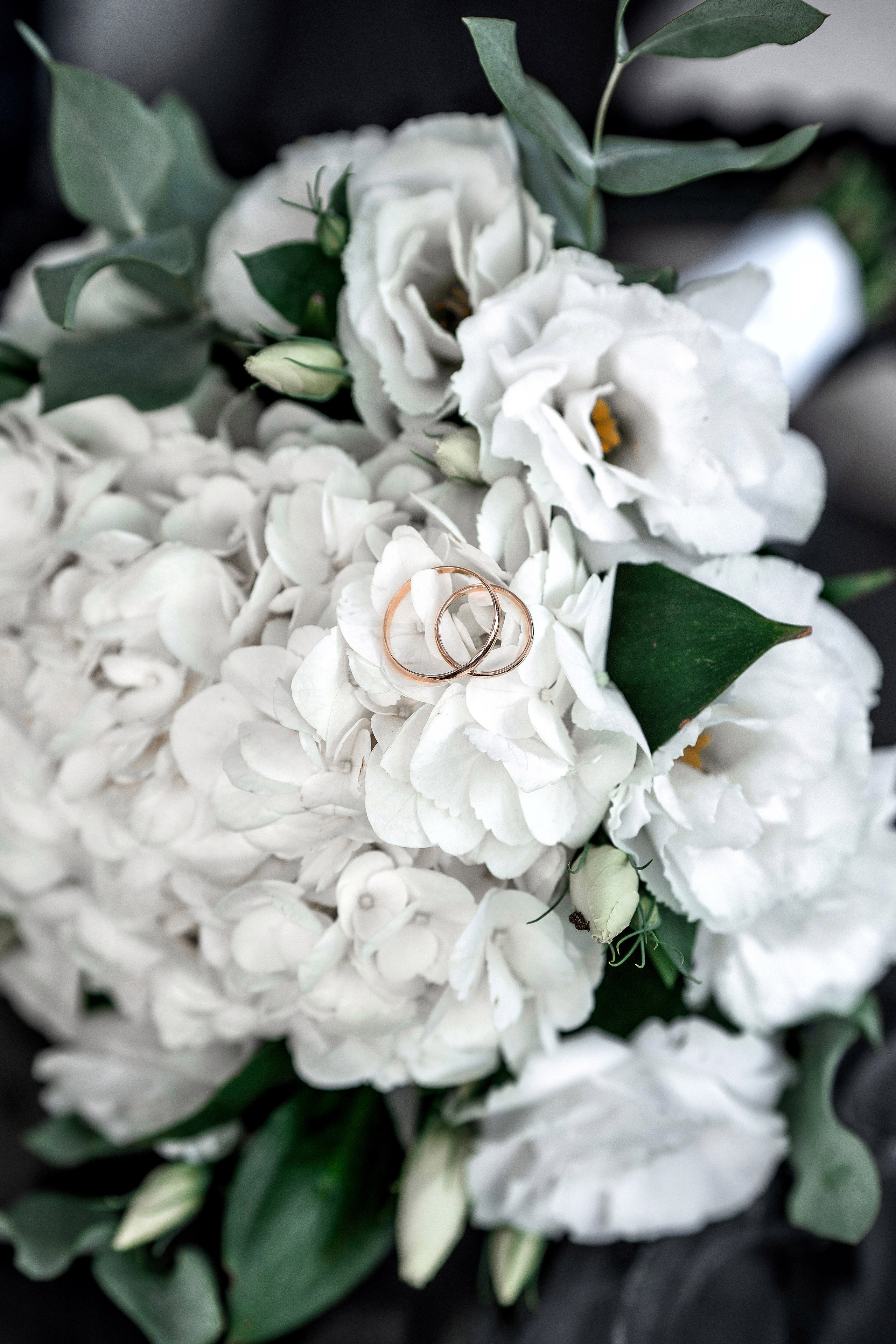 28.09.2024. Фотограф Сочи