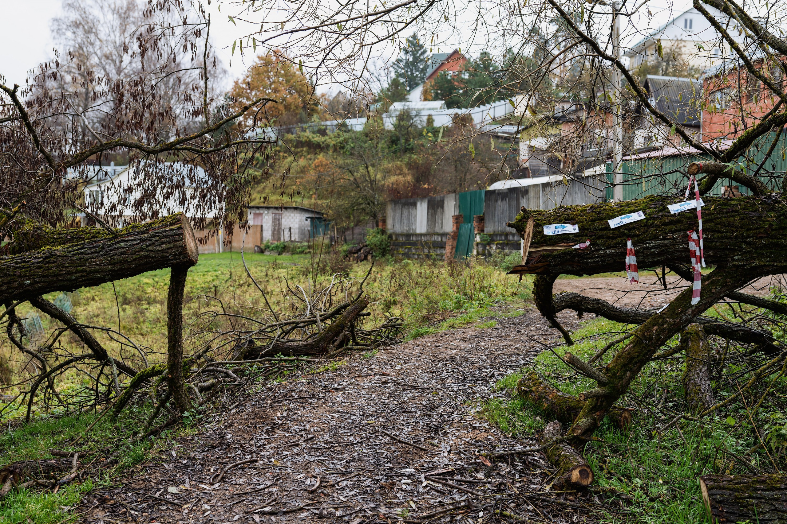Фотографии Трейл Кутузов 2025. Фотограф спортивные события, недвижимость, турбизнес