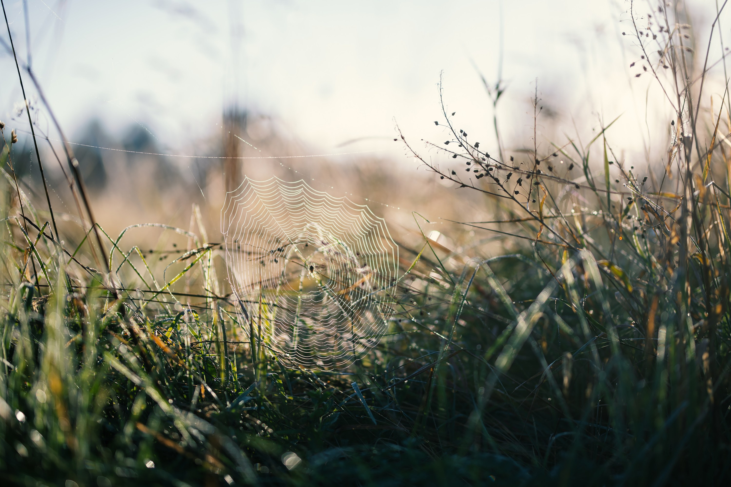 Фотографии Национальный парк Угра. Фотограф спортивные события, недвижимость, турбизнес