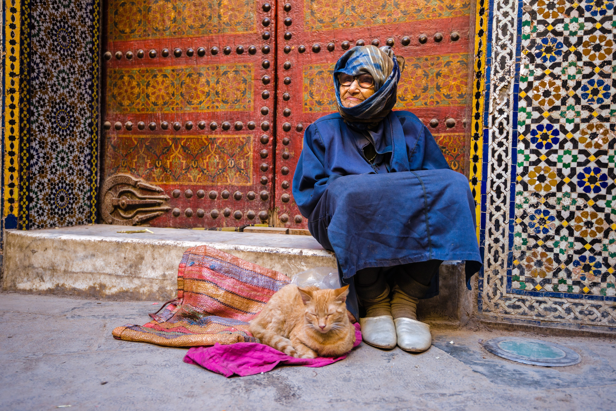 Люди и кошки