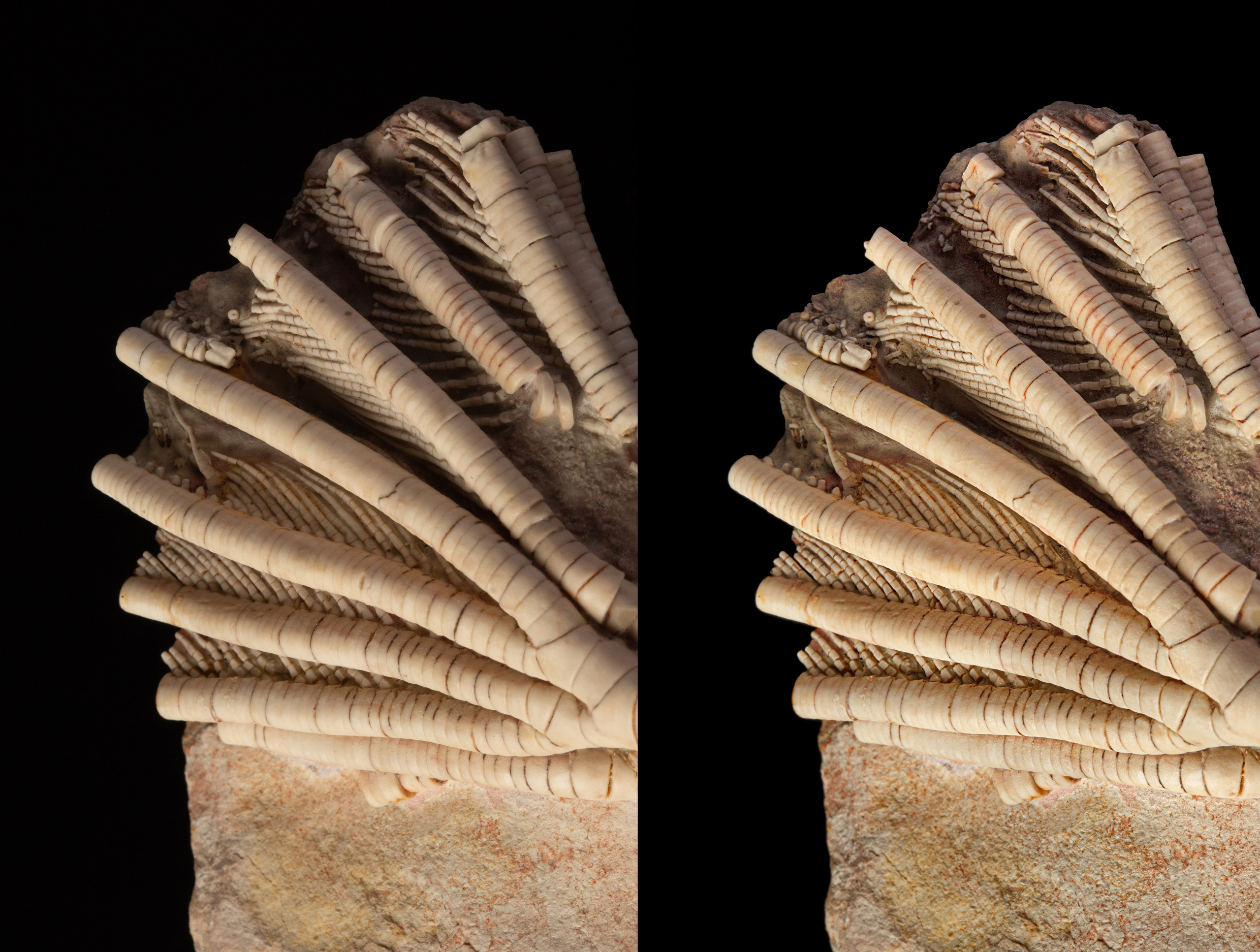 Предметы коллекционирования