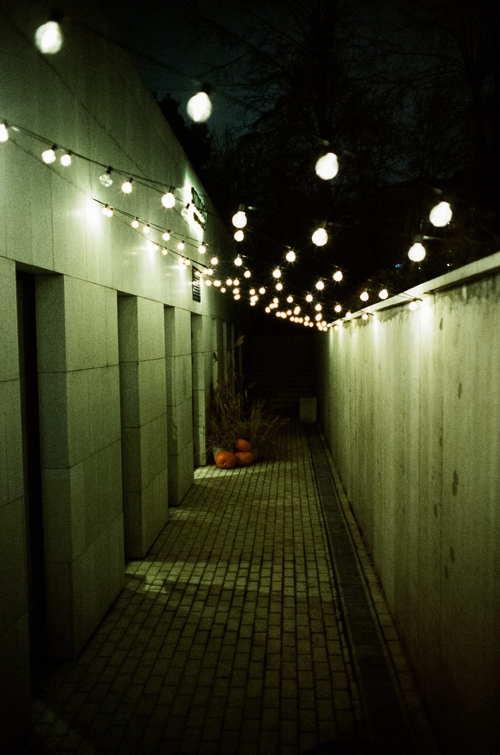 Малая Грузинская, Садовое, Петровка / Voigtlander BESSA-T — Ultron 28 mm f/2 / SFL 500T