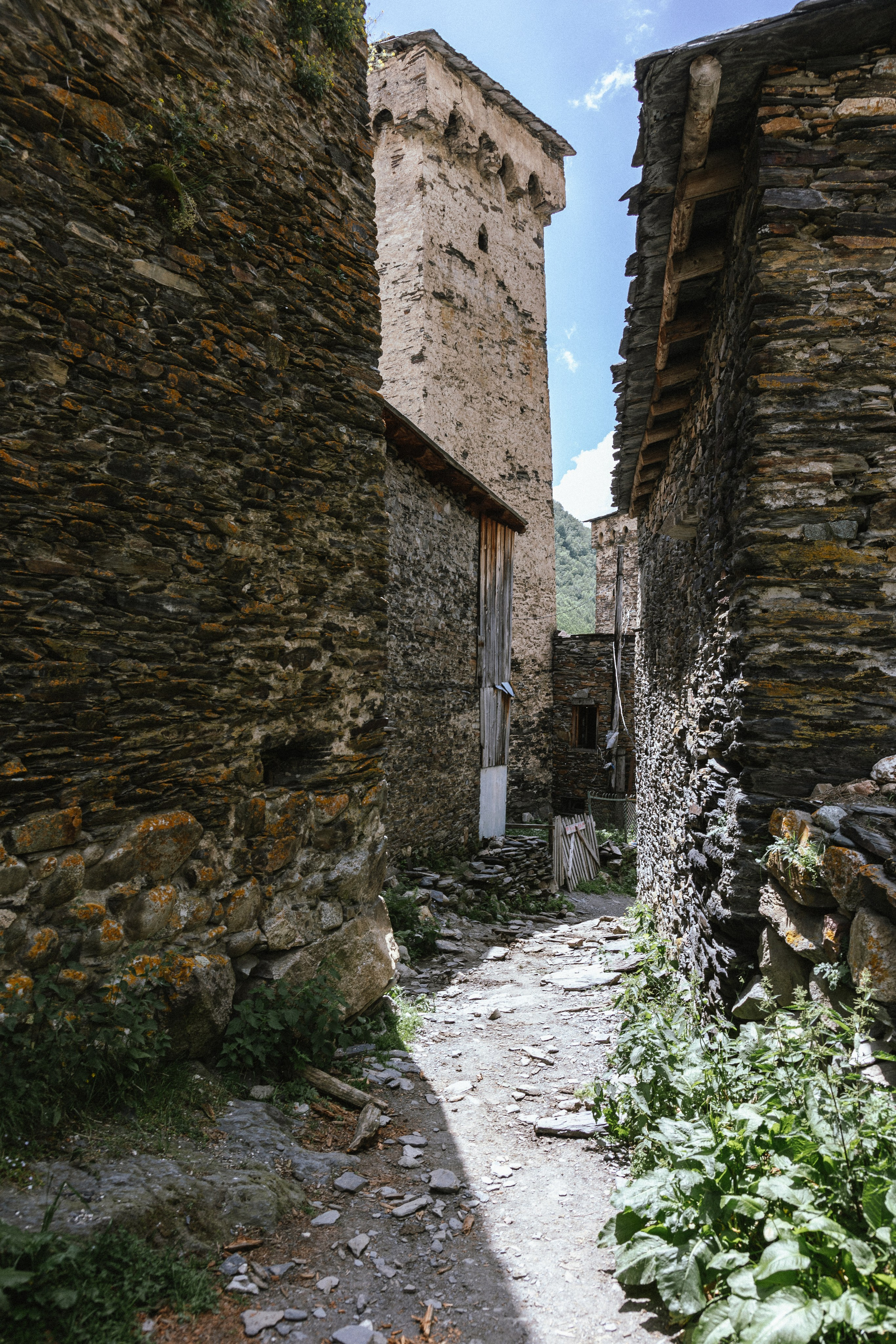 Грузия. Добродеева Алла фотограф, Москва