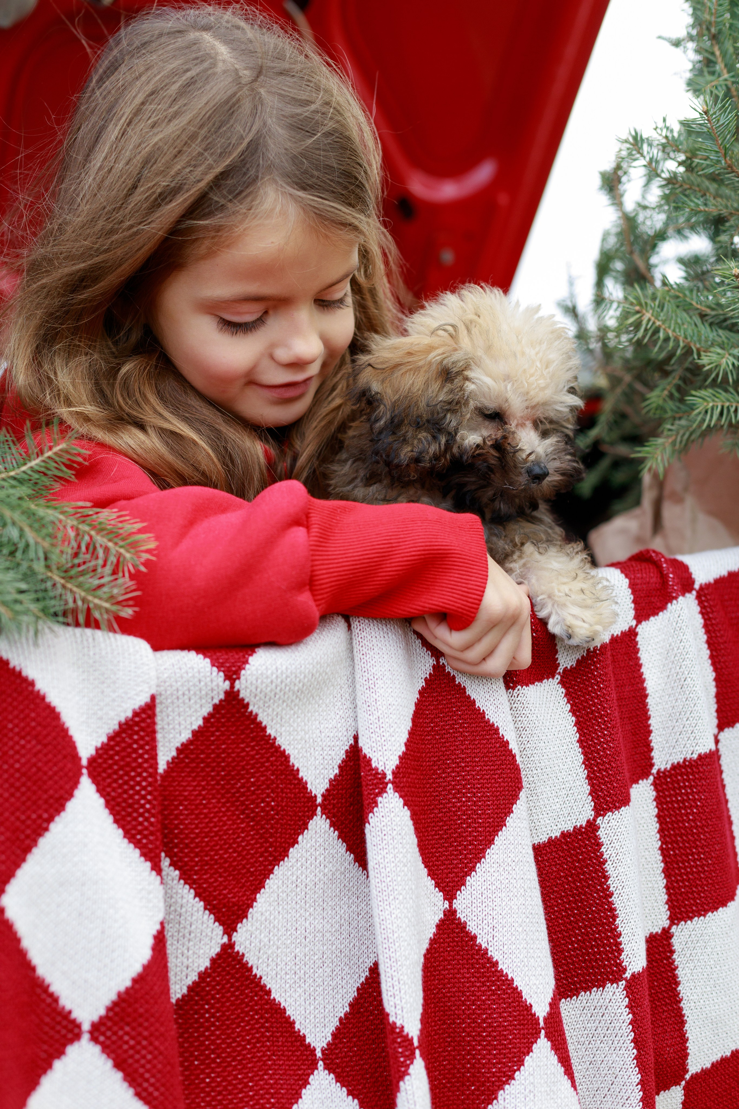 MJOLK. Новогодняя коллекция. Римма Зайцева контент для брендов