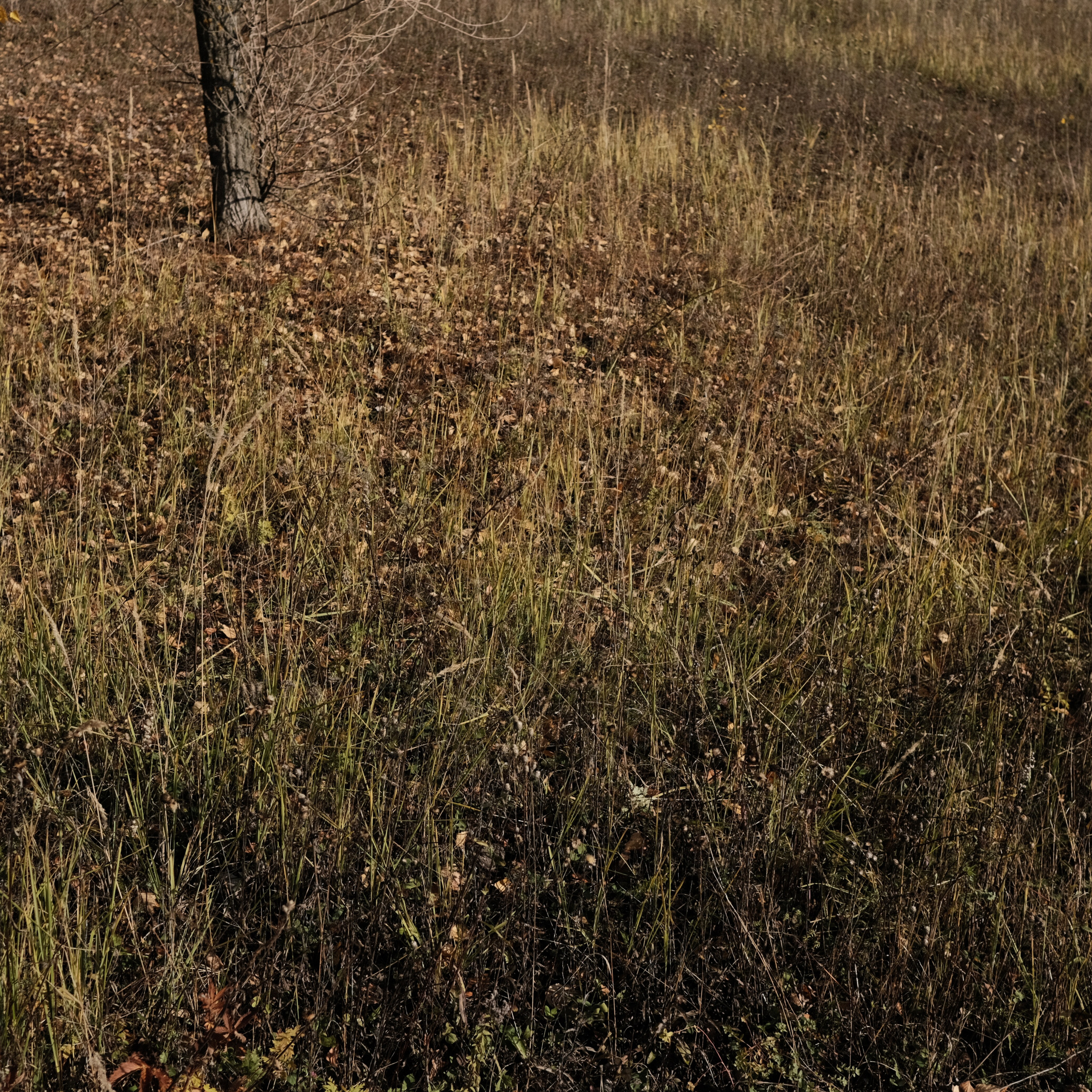 Нижний Новгород. LIYALEE PHOTO