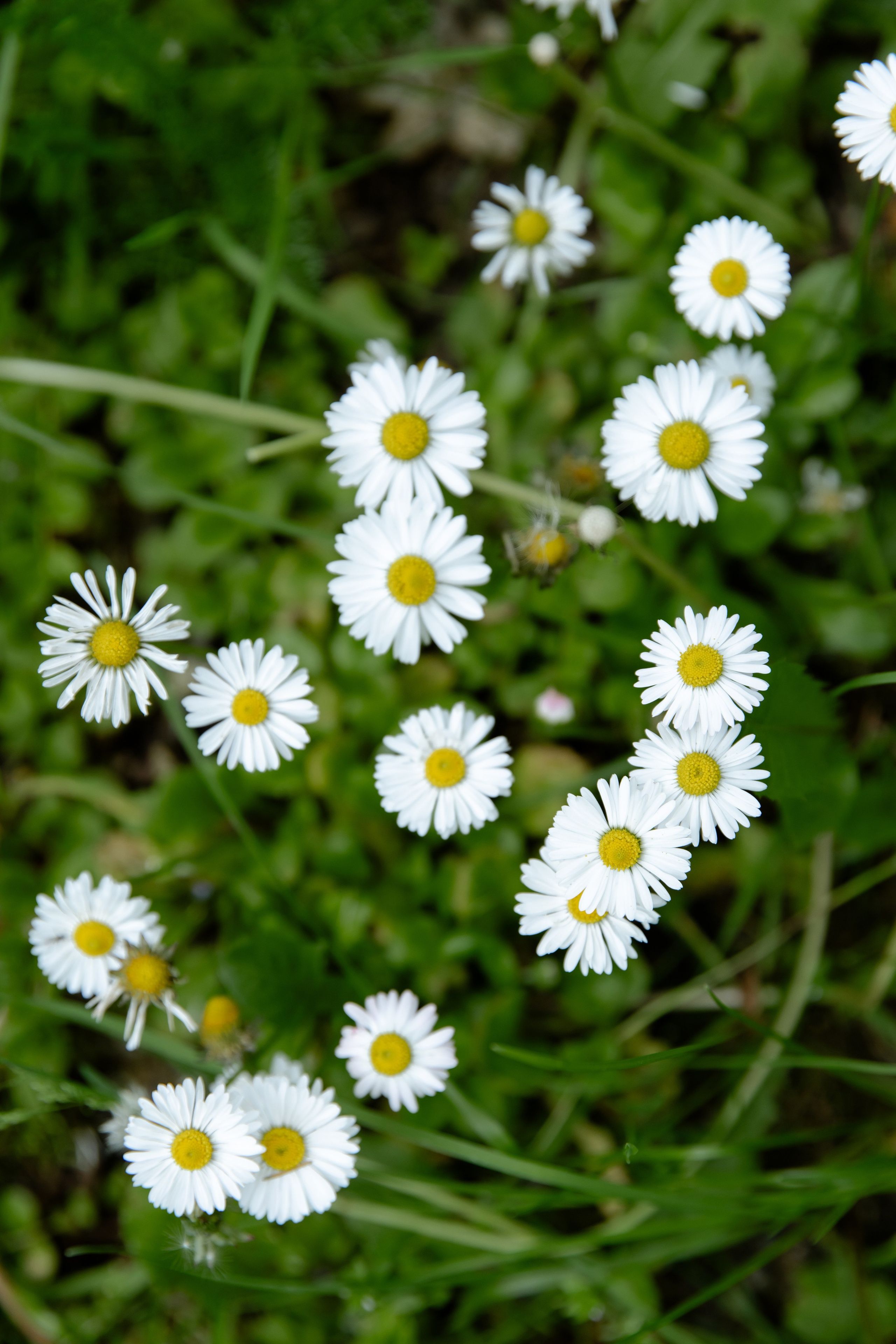 Свадебный день Саши и Лады. Свадебный фотограф Анна Бабахина