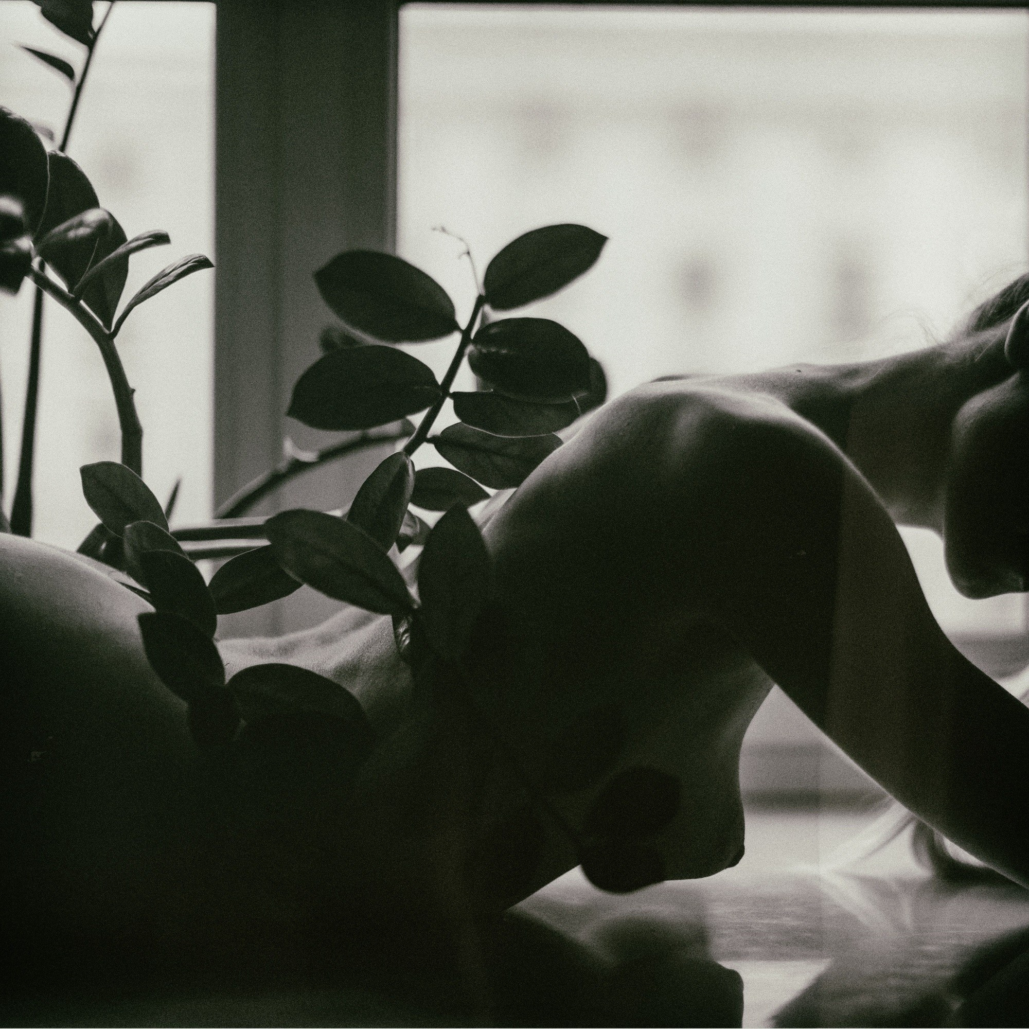 Fine Art Nude. Фотограф Дмитрий Щекочихин