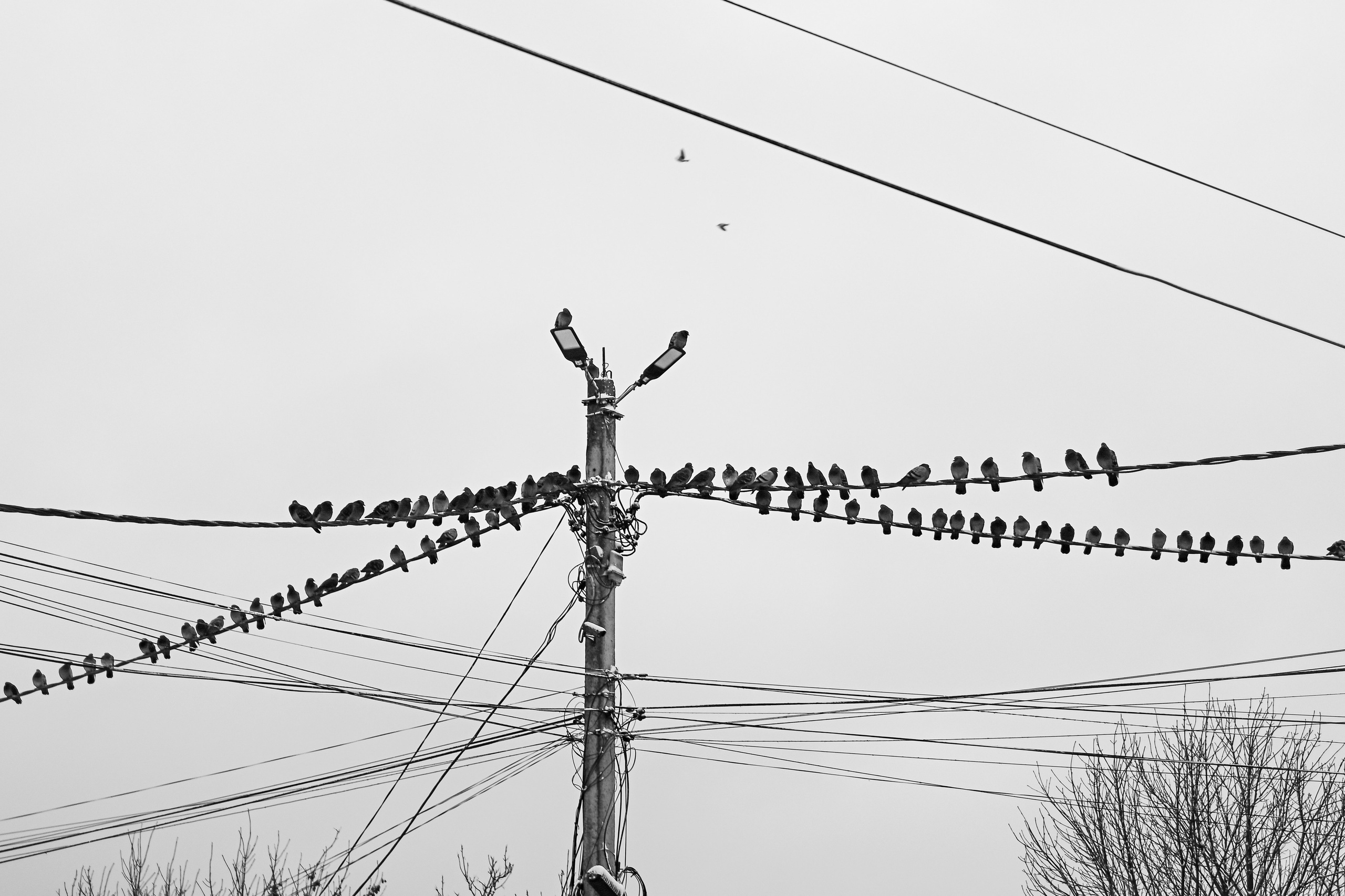 Фотограф из Боровска в Калужской области