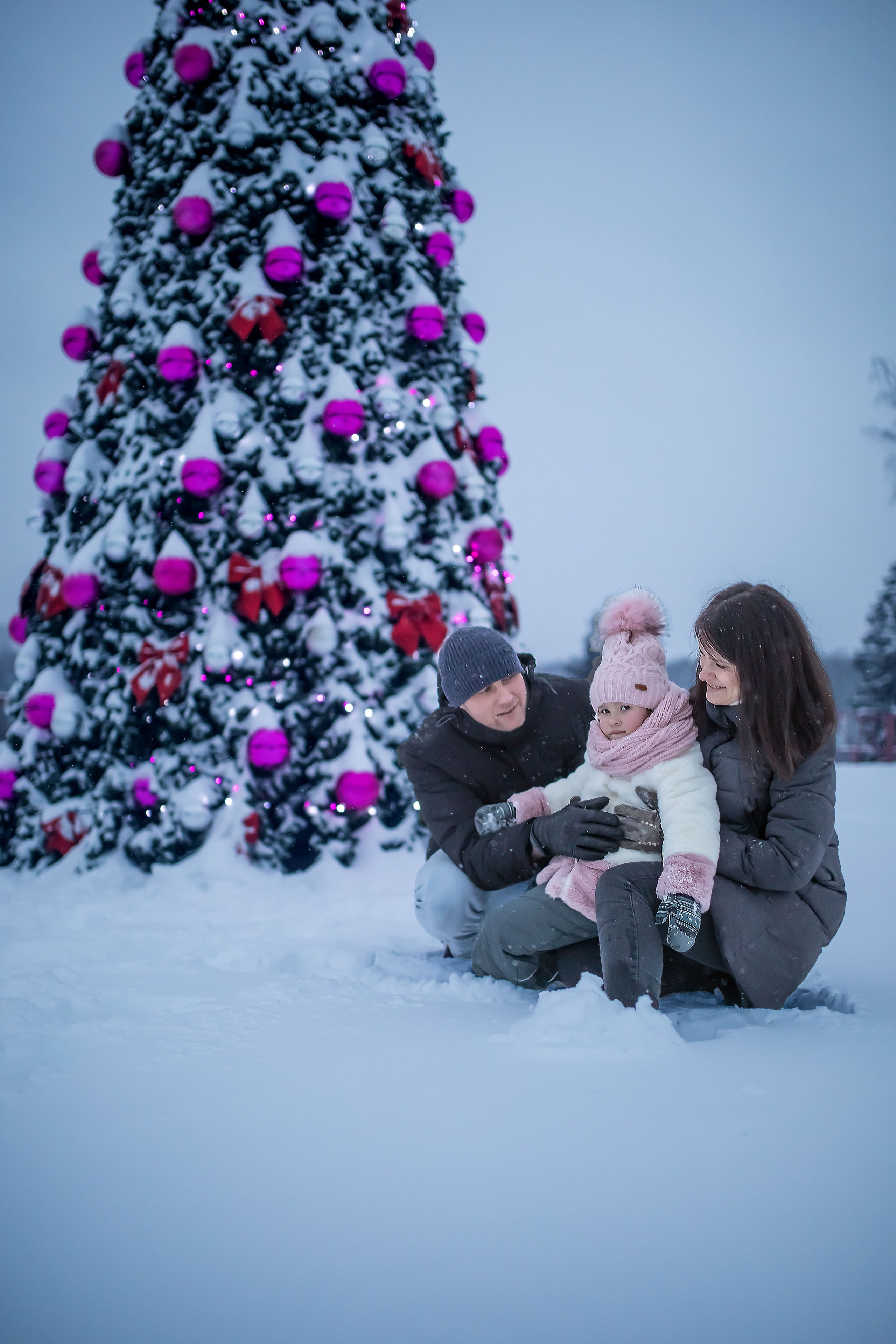 Зимняя прогулка Инны. Арт- фотограф Москва