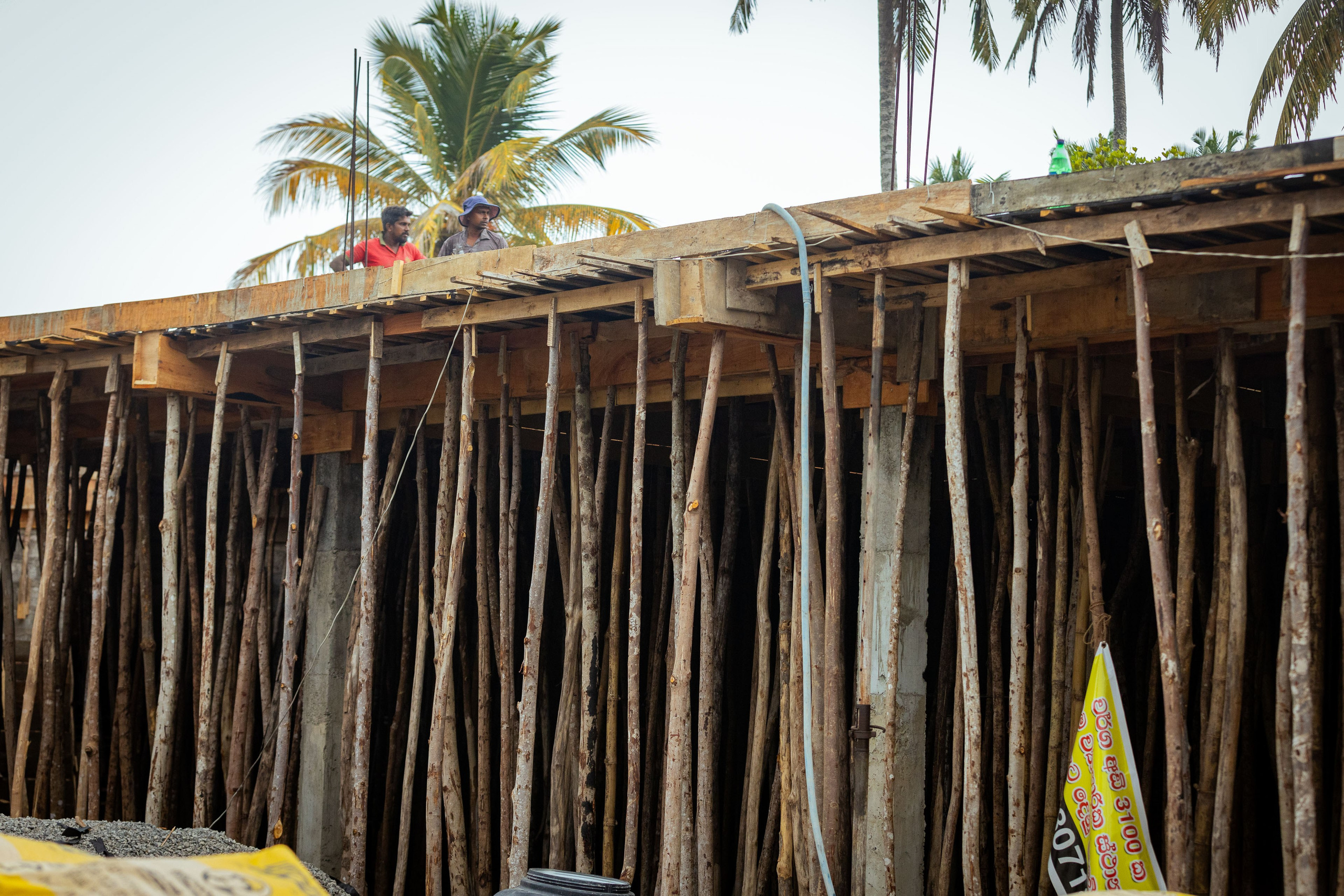 Шри-Ланка (весна 2024). Фотограф Виноградов Константин