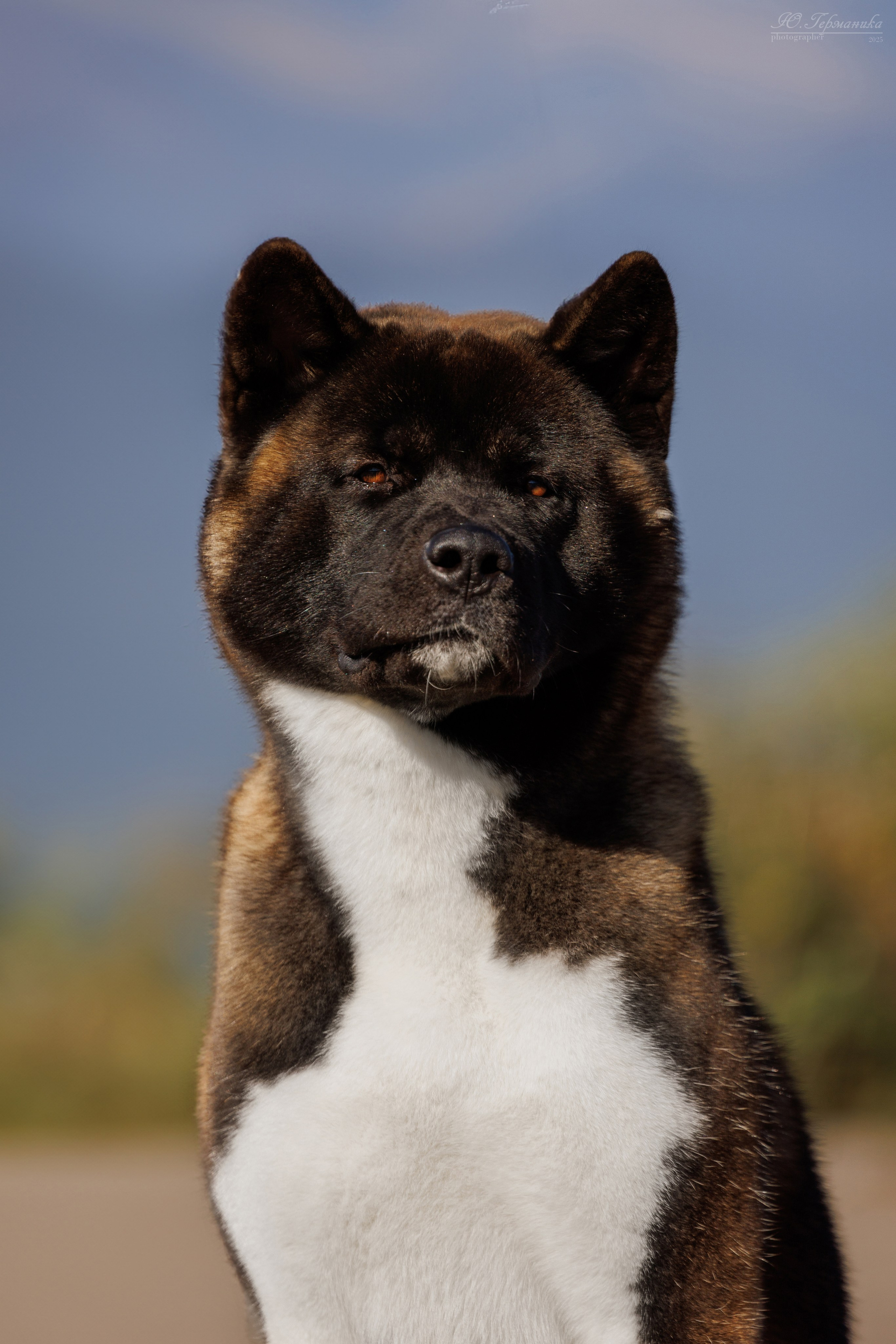 Телави 11-12.10.2025