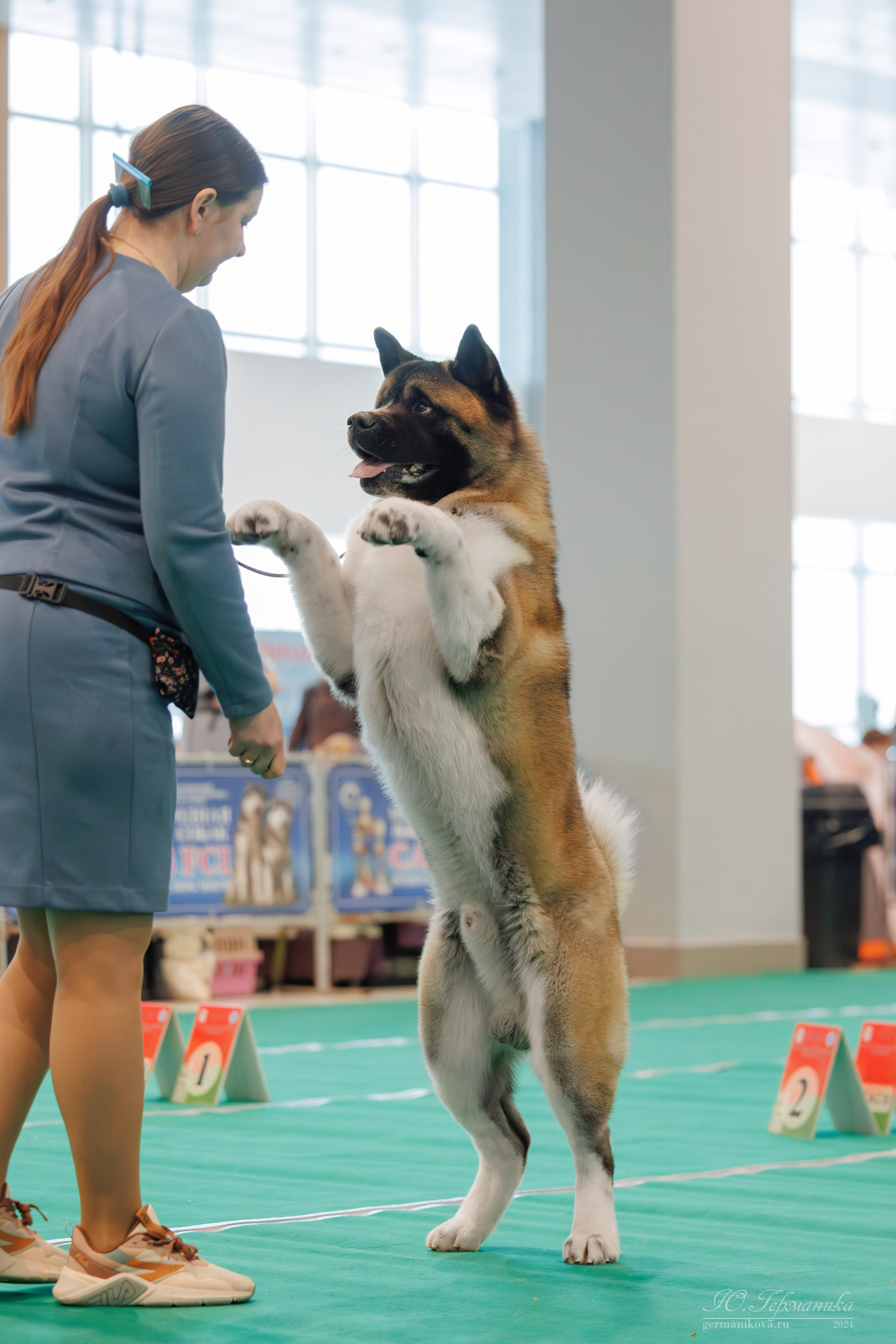 Минск 1-2.03.2025. Фотограф-анималист Юлия Германика