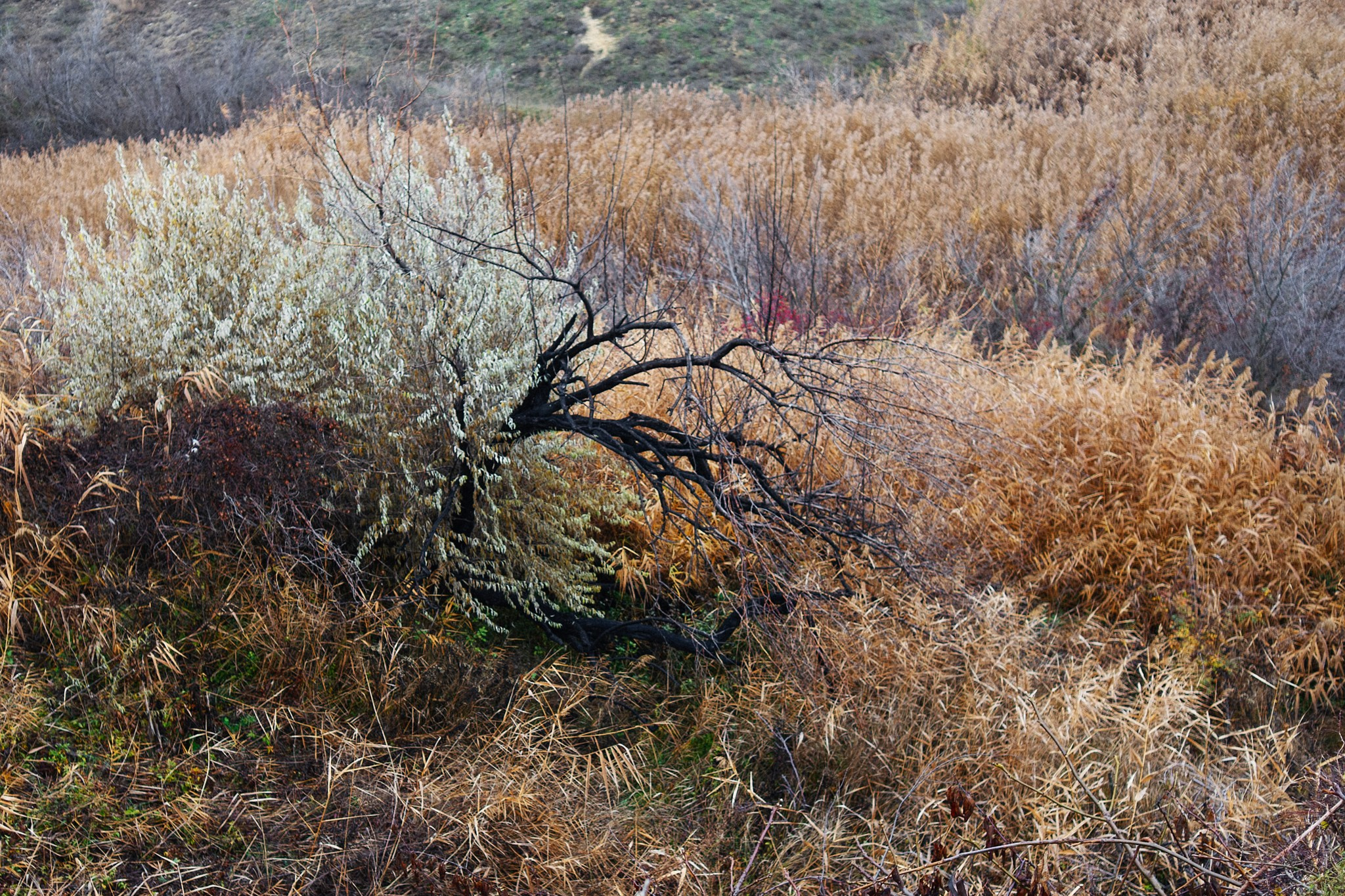 No title. Андрей Сливенко. Свадебный фотограф и видеограф в Волгодонске и Ростове-на-Дону