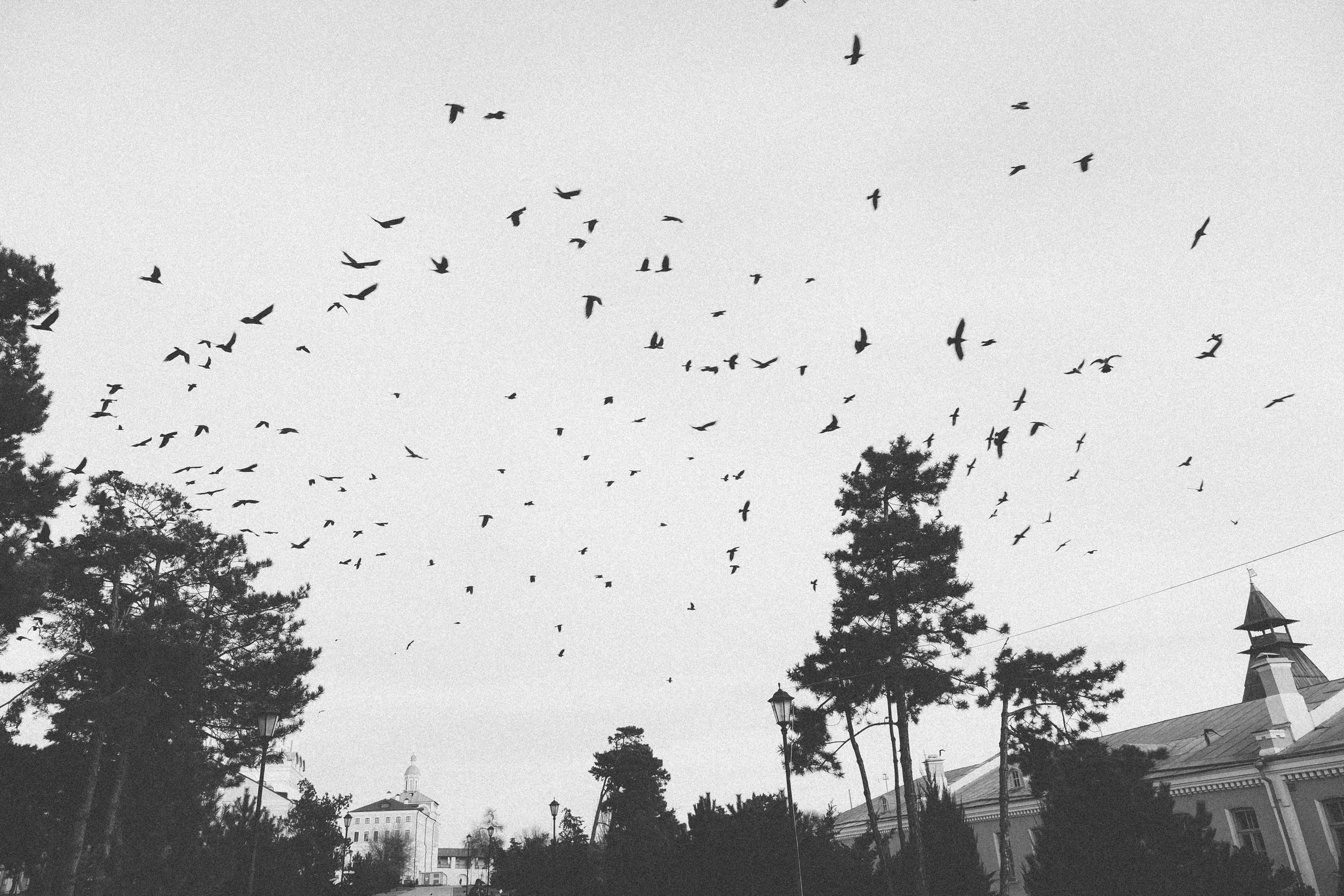 Розовый закат. Фотограф Анатолий Деникин