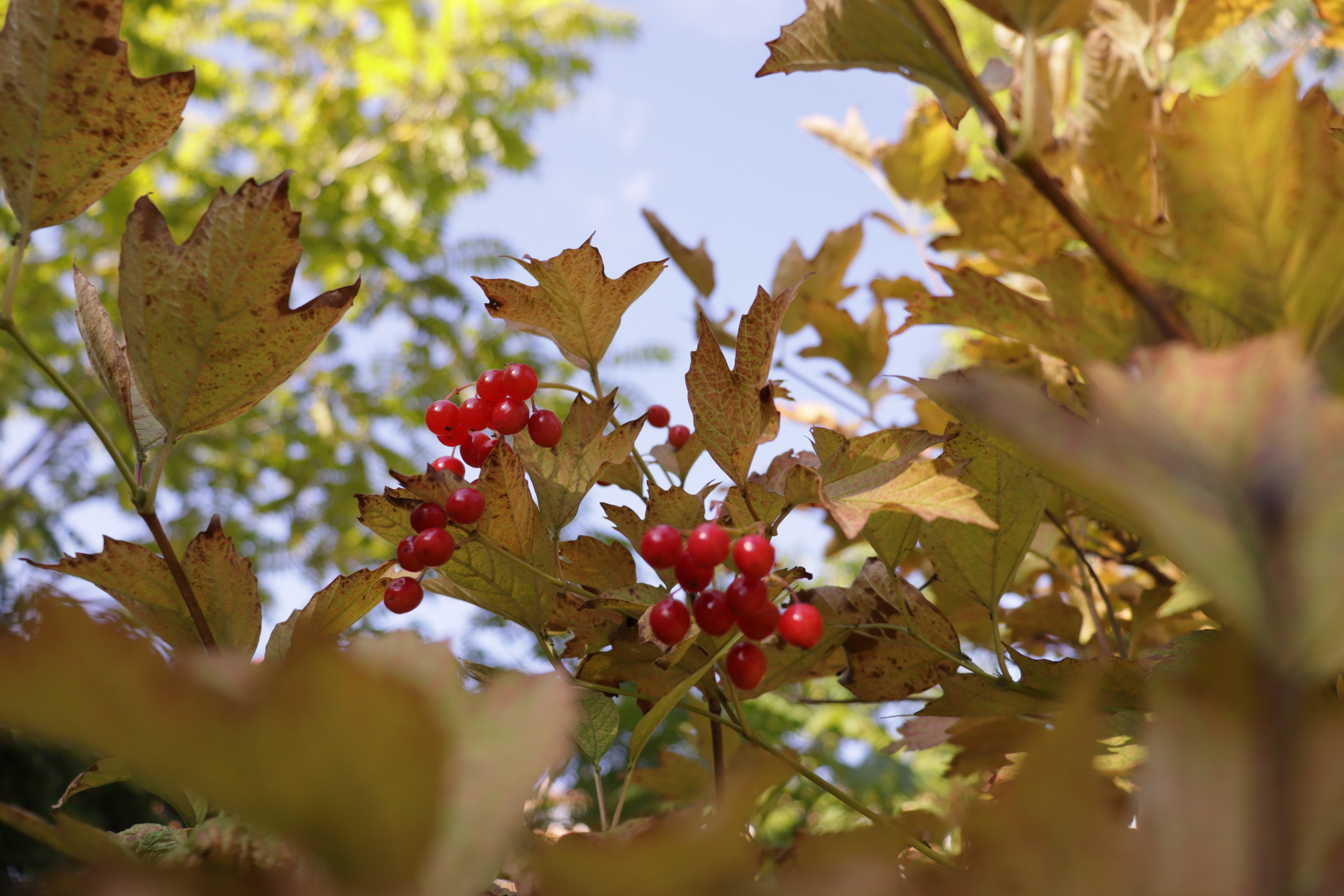 Город, пейзажи