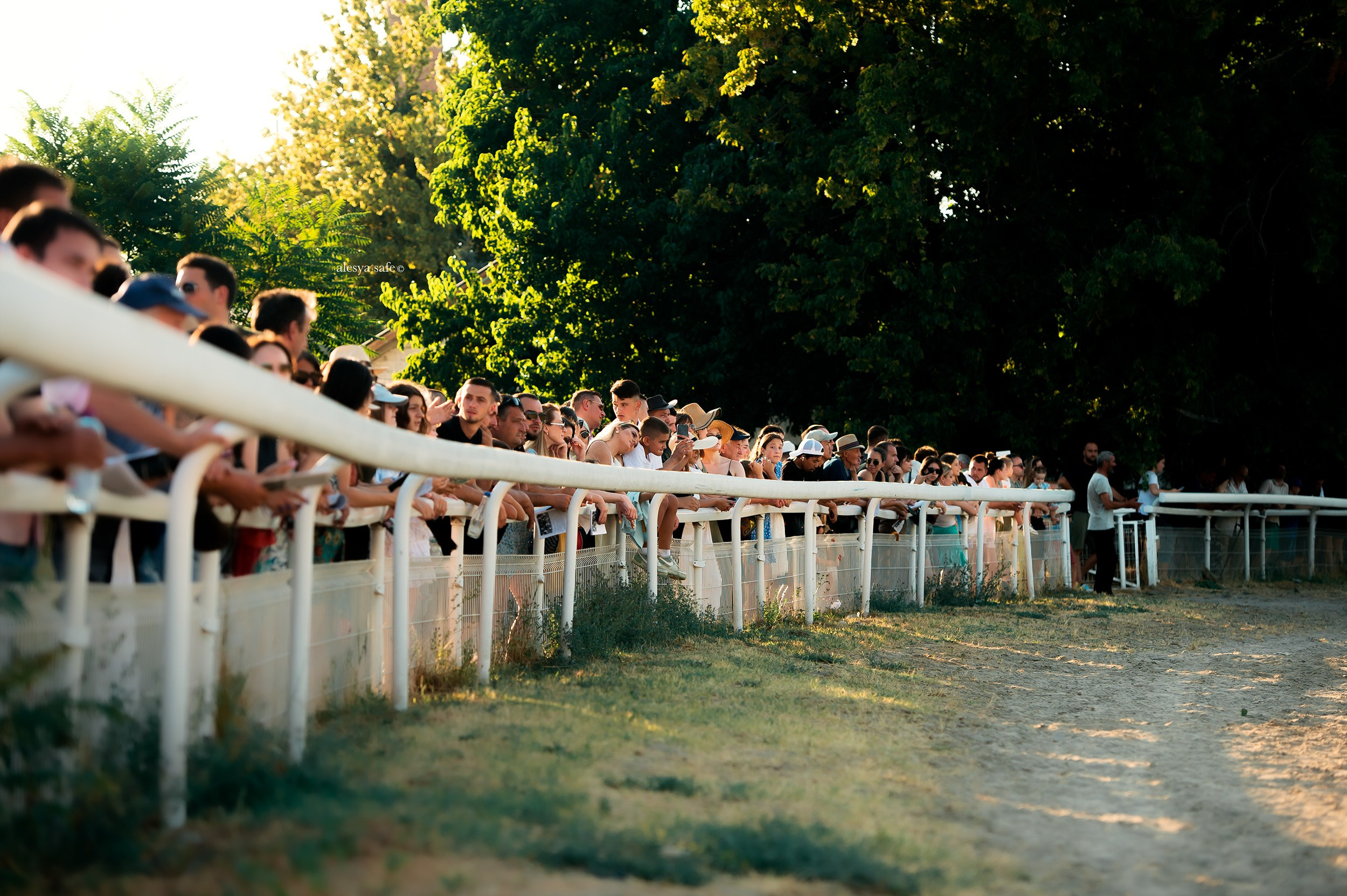 Скачки. Конный фотограф Alesya Safe