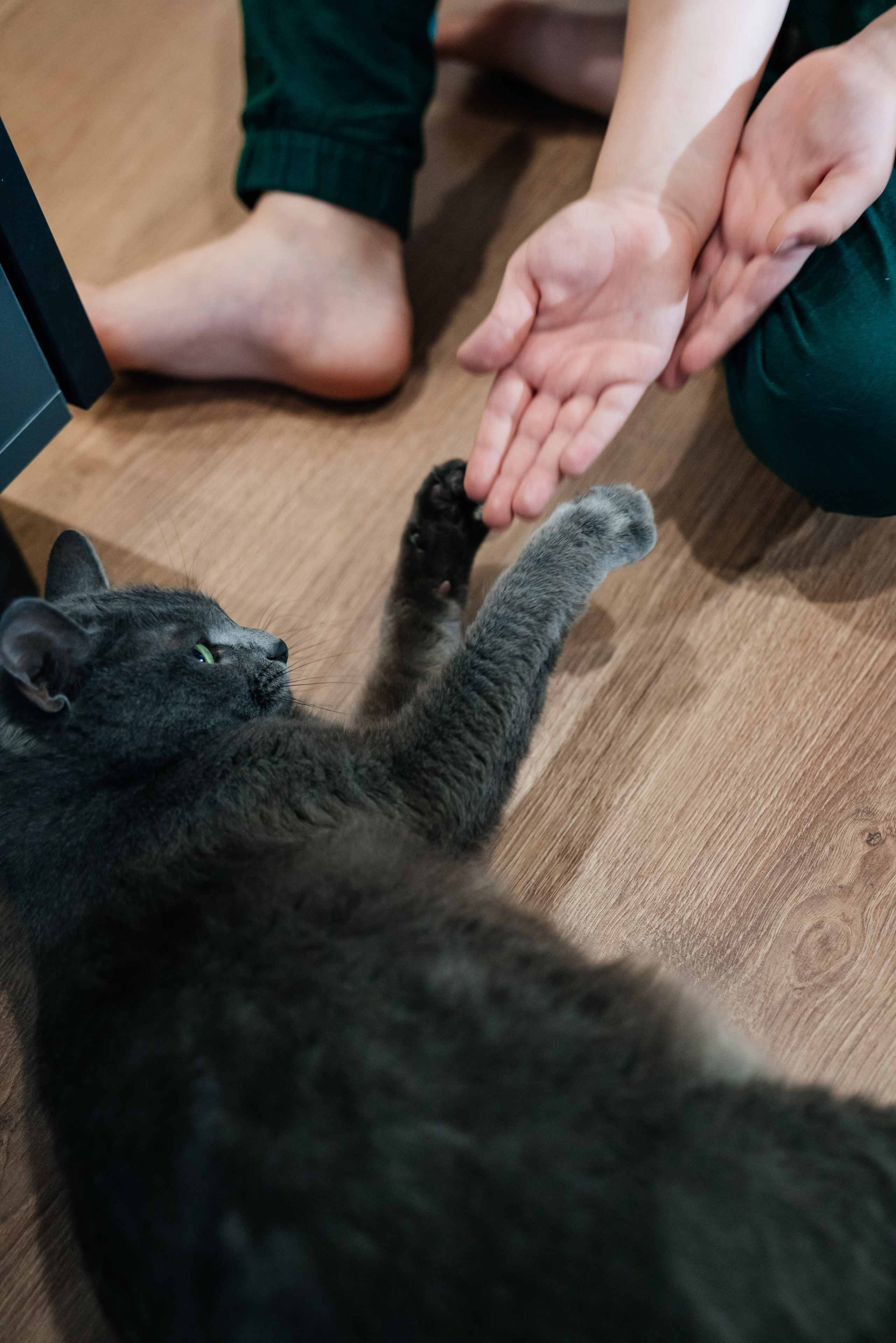 Вика+Вадим+Платон. Свадебный и семейный фотограф в Волгограде Юлия Гринева