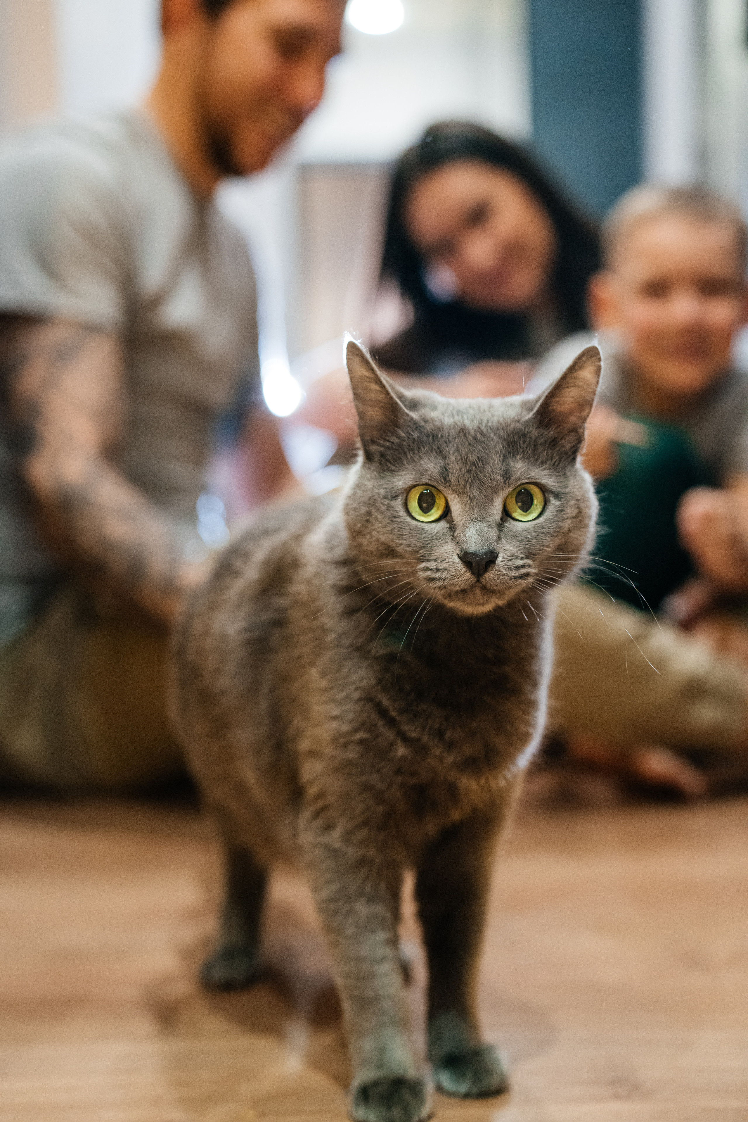 Вика+Вадим+Платон. Свадебный и семейный фотограф в Волгограде Юлия Гринева