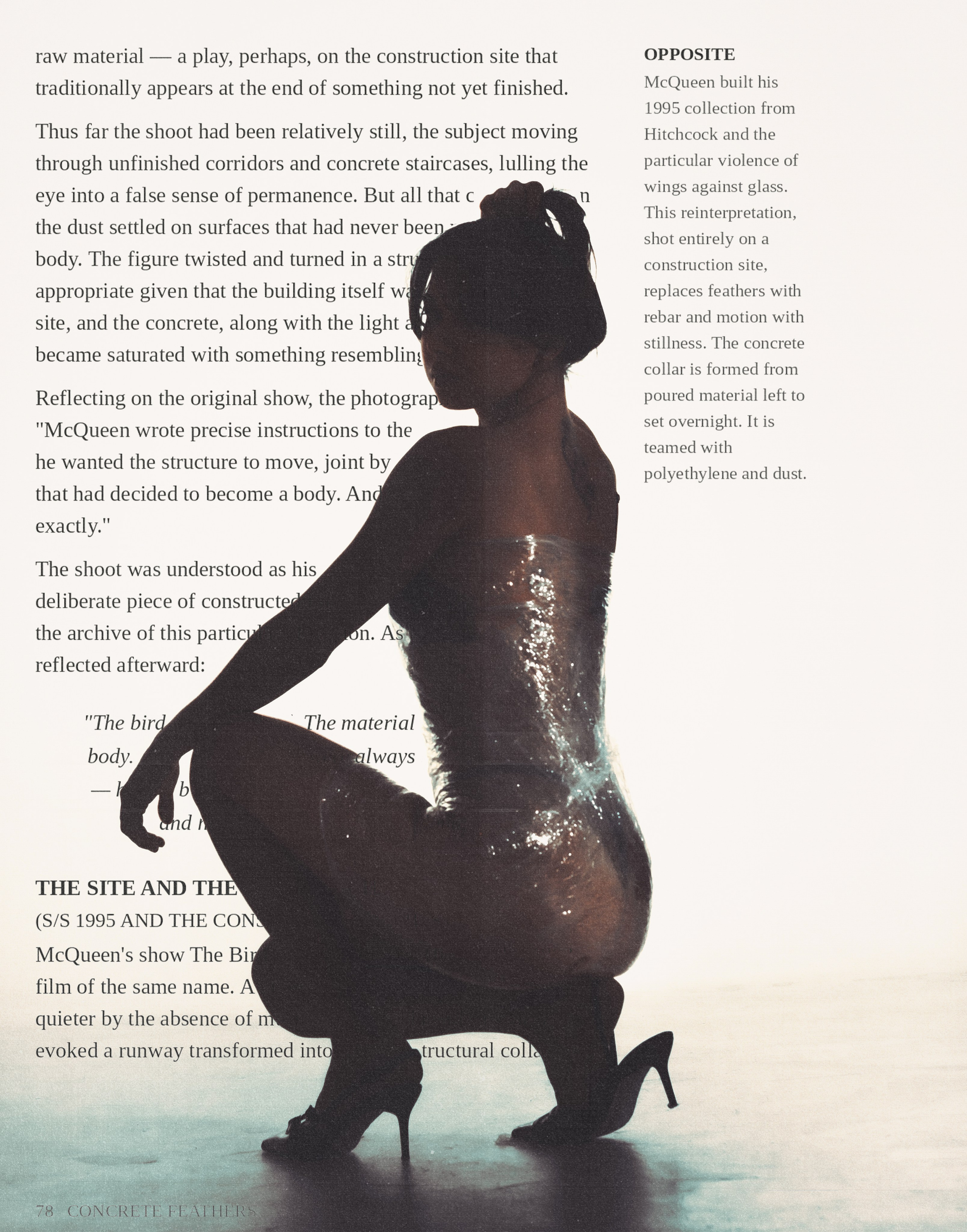 The birds inspiration. Фотограф Тимур Хайруллин