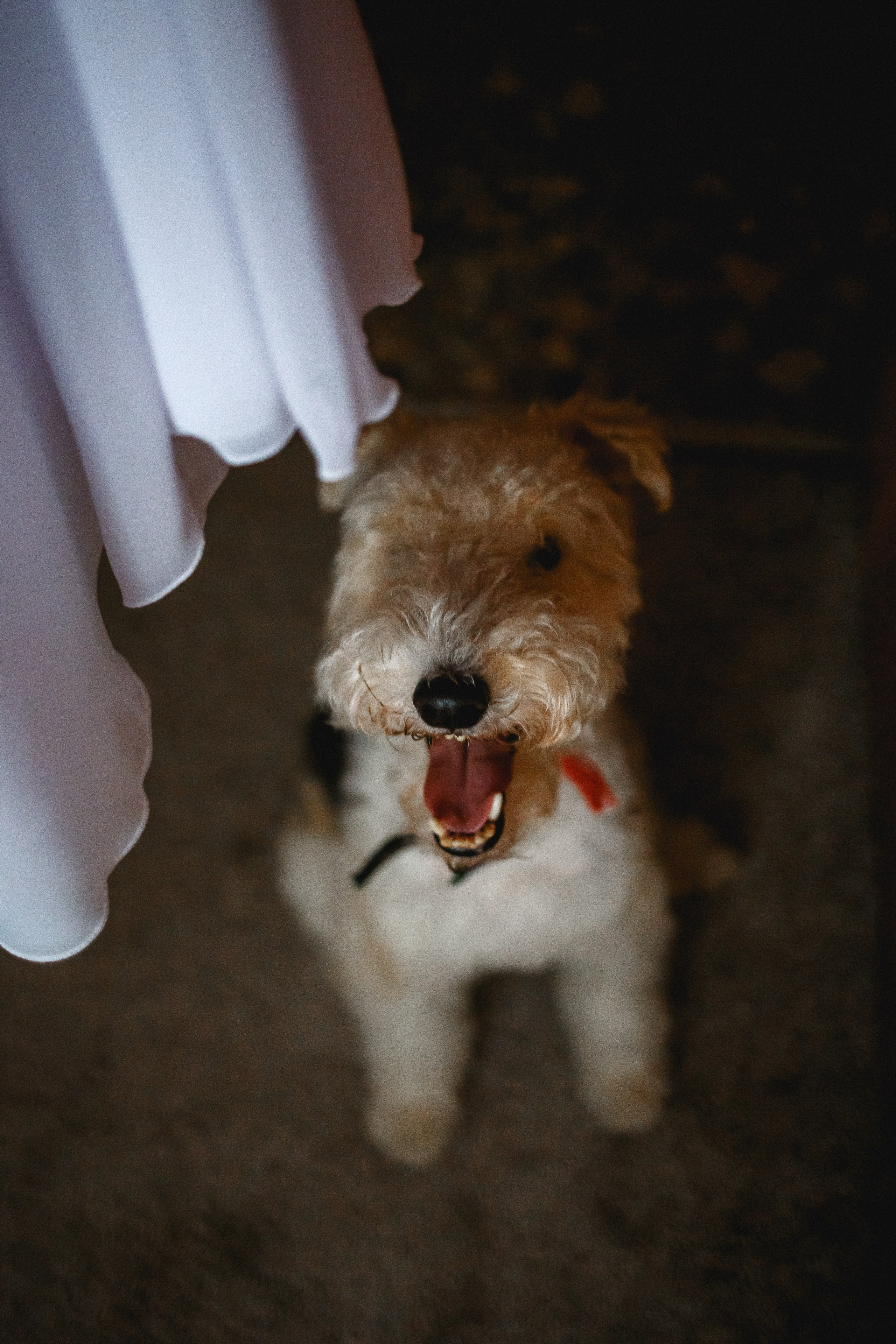 Анна и Алексей. Фотограф в Москве Базанова Дарья