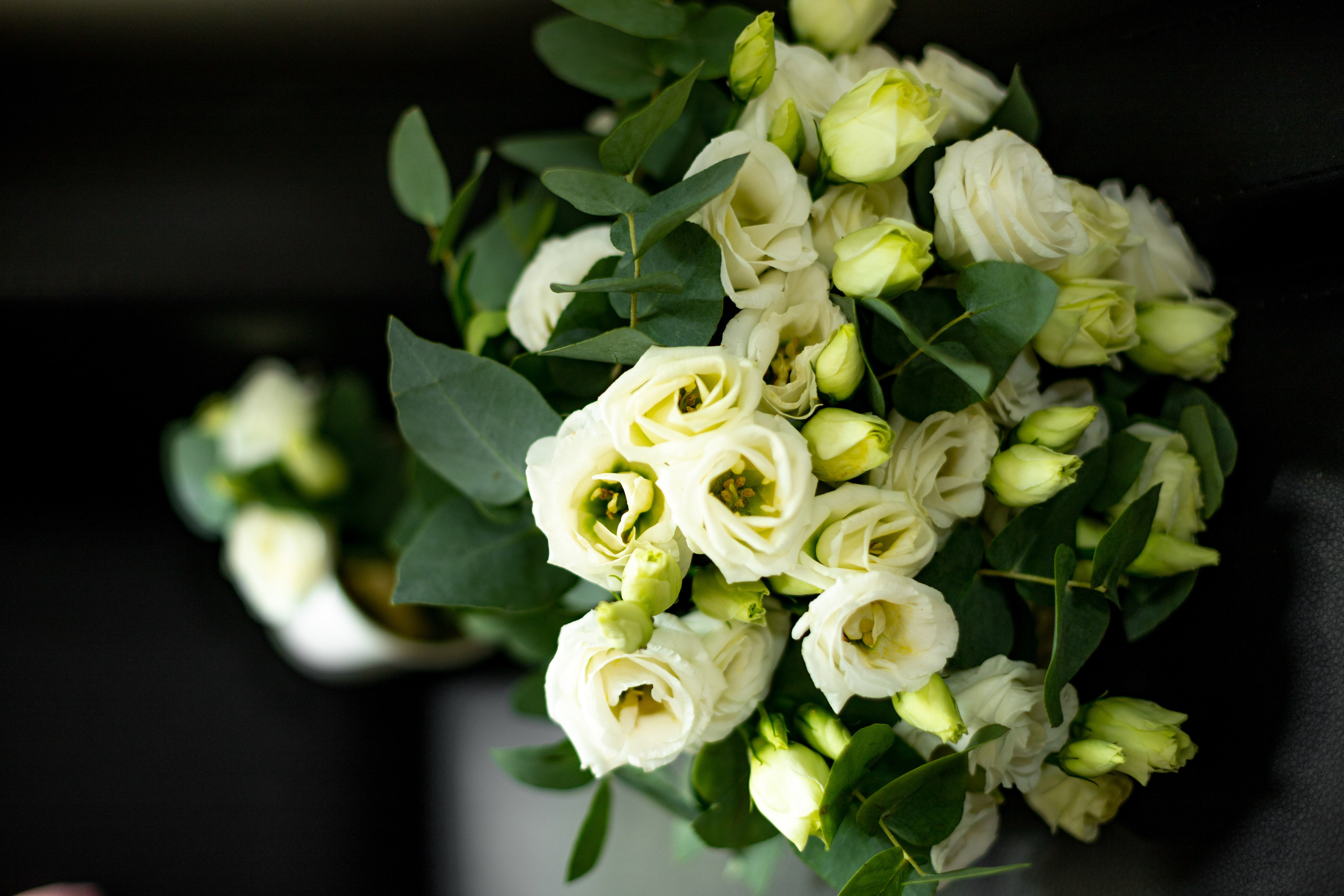 Лучший день. Семейный и детский фотограф Эльвира Билибина