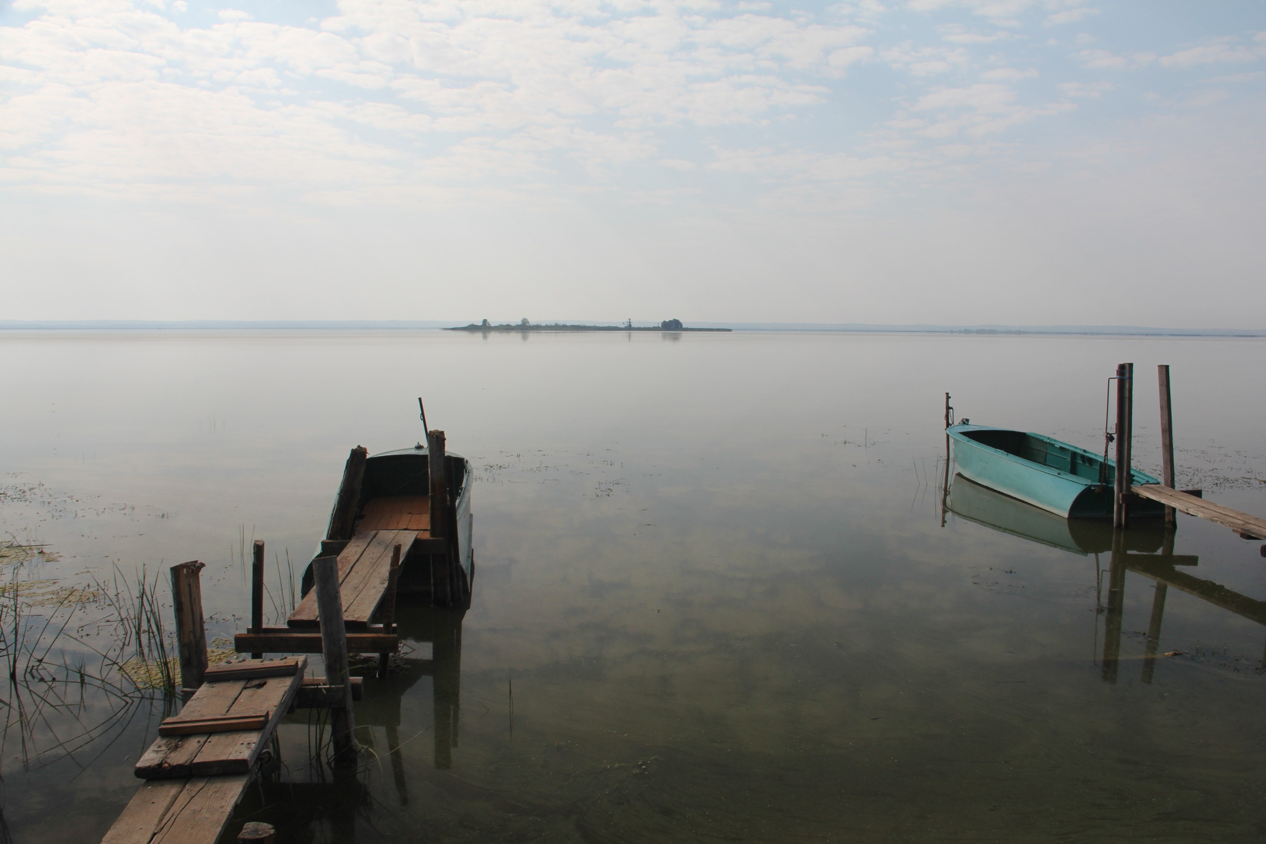 Автор: Ксения Паршина