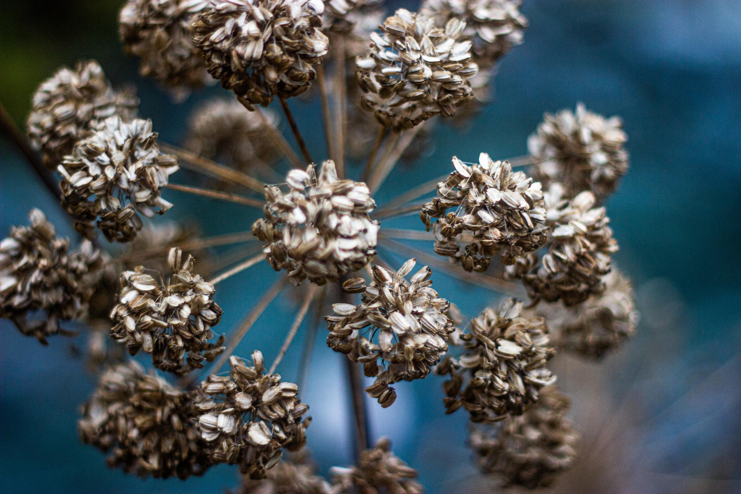 Станция Собь. Фотограф Екатерина Зорина