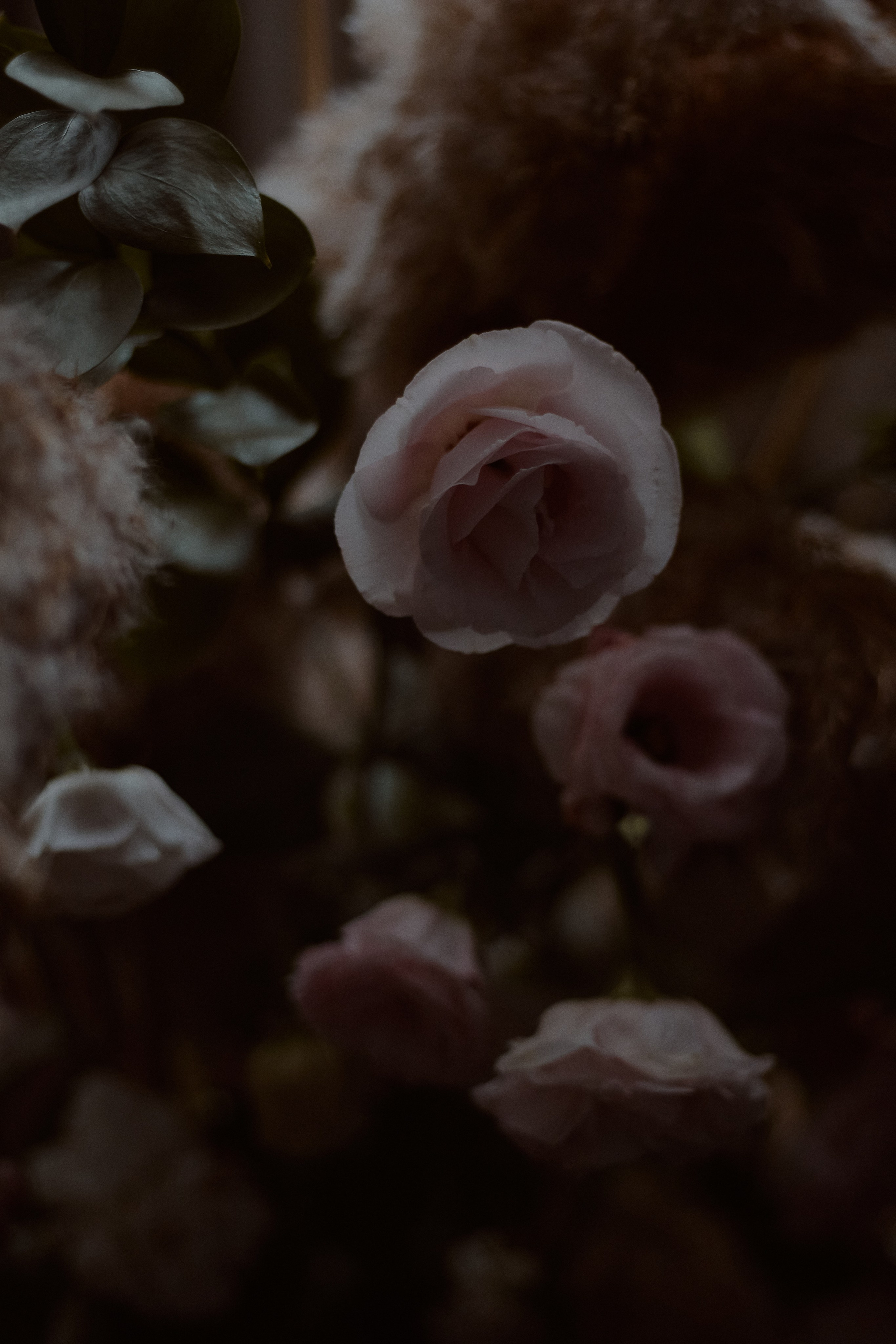 Нежность. Фотограф лавстори Москва/МО Приятелева Ангелина