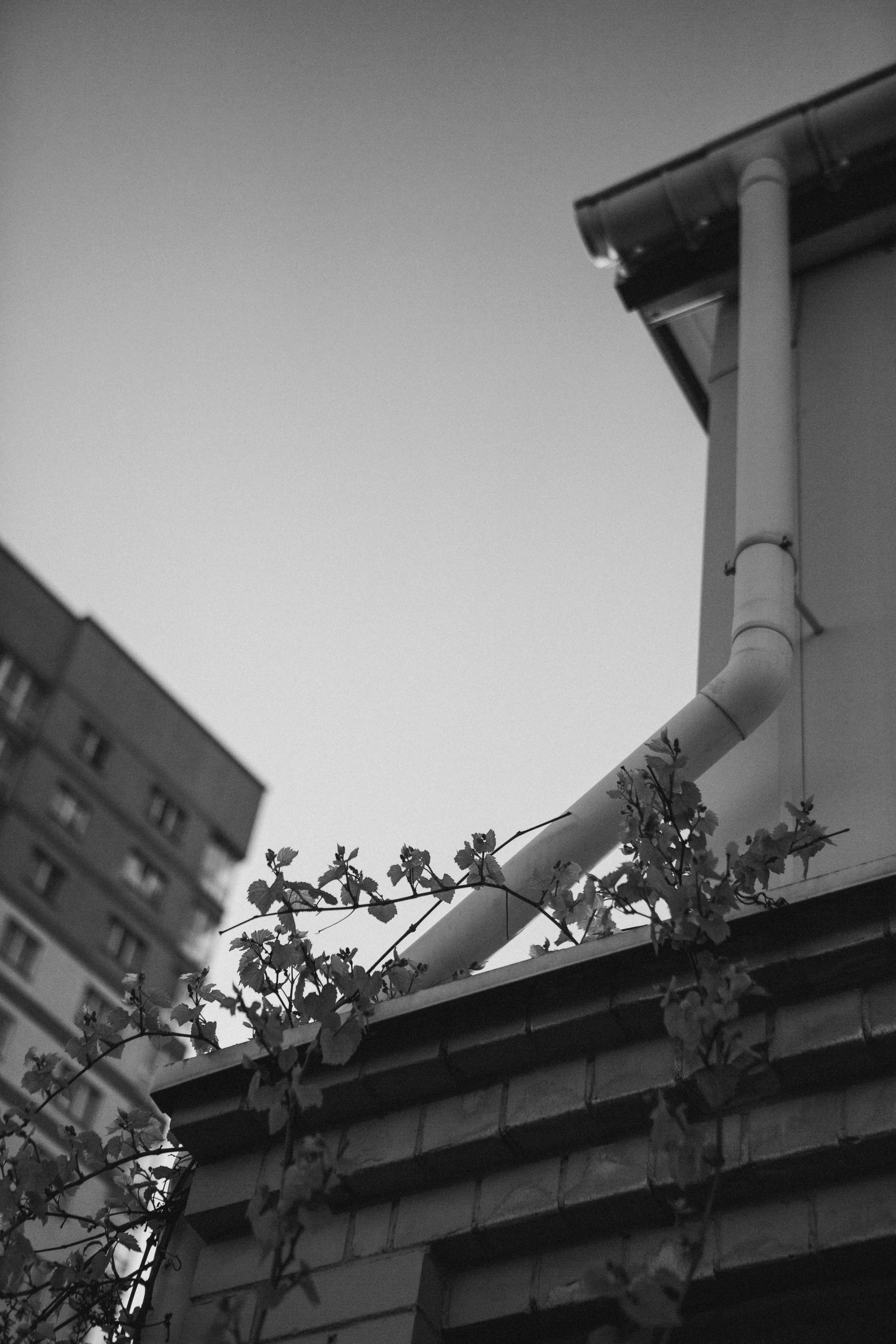 Максим. Портретный фотограф в Минске