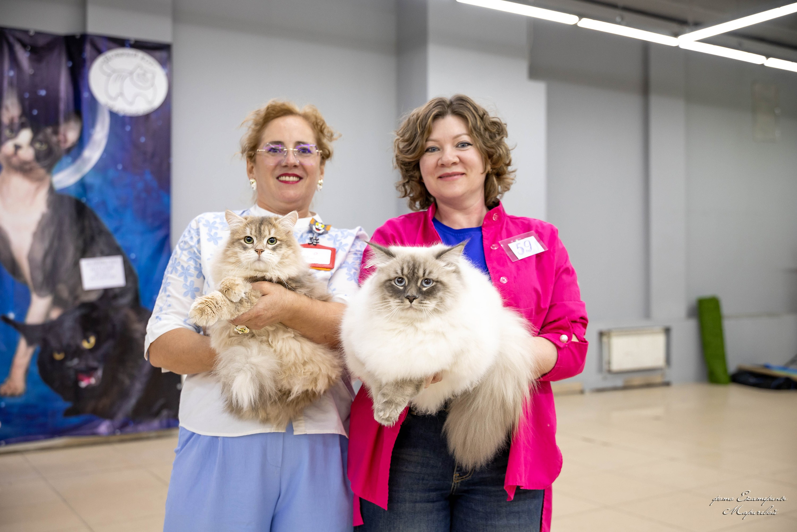 11–12 апреля — Интершоу — «Звездная Галактика Доброго Кота». Работаю со стендом. Фотограф-анималист в Омске Екатерина Маричева
