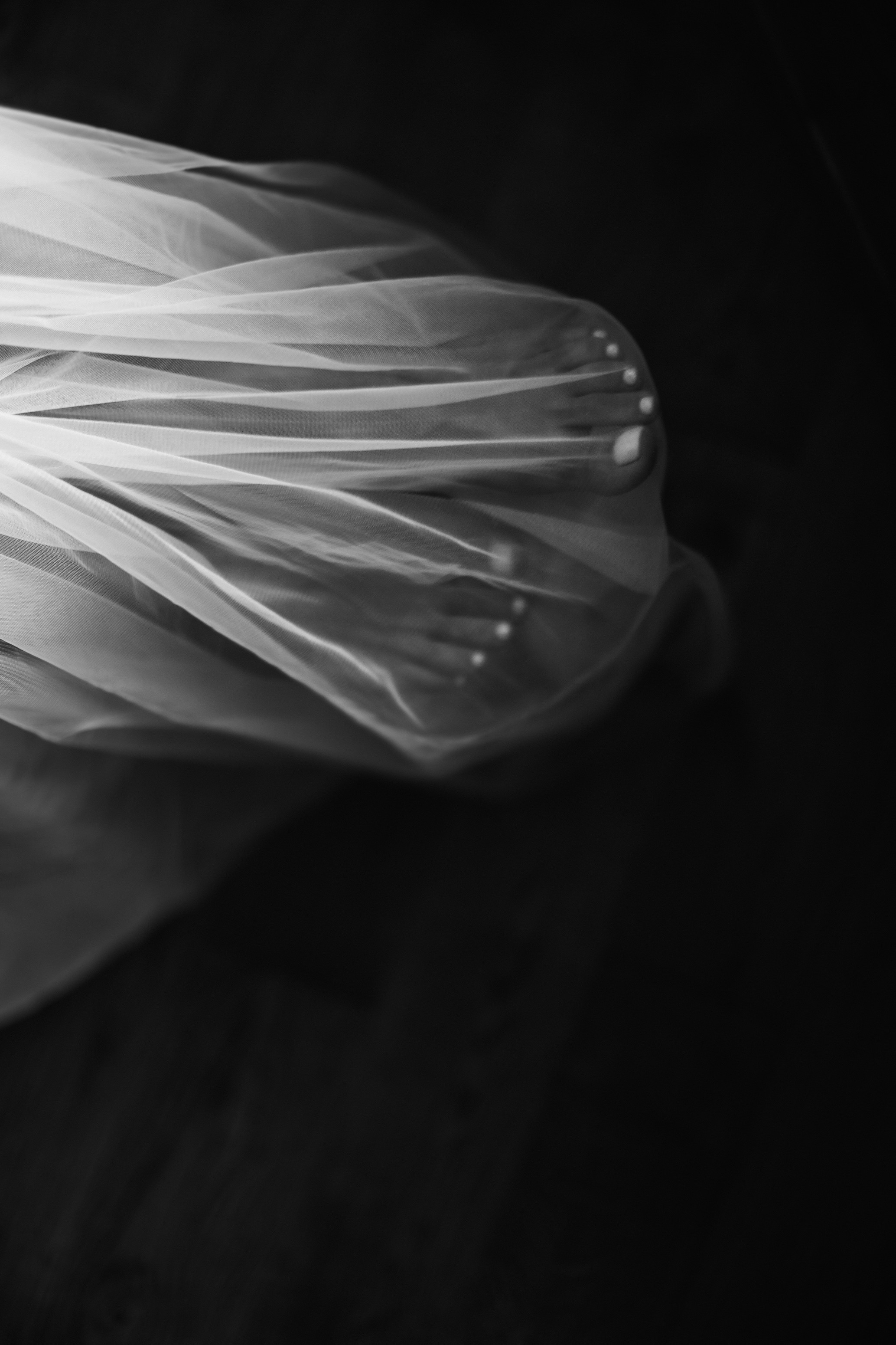 Алена и Никита. Свадебный и семейный Фотограф Денис Кошель