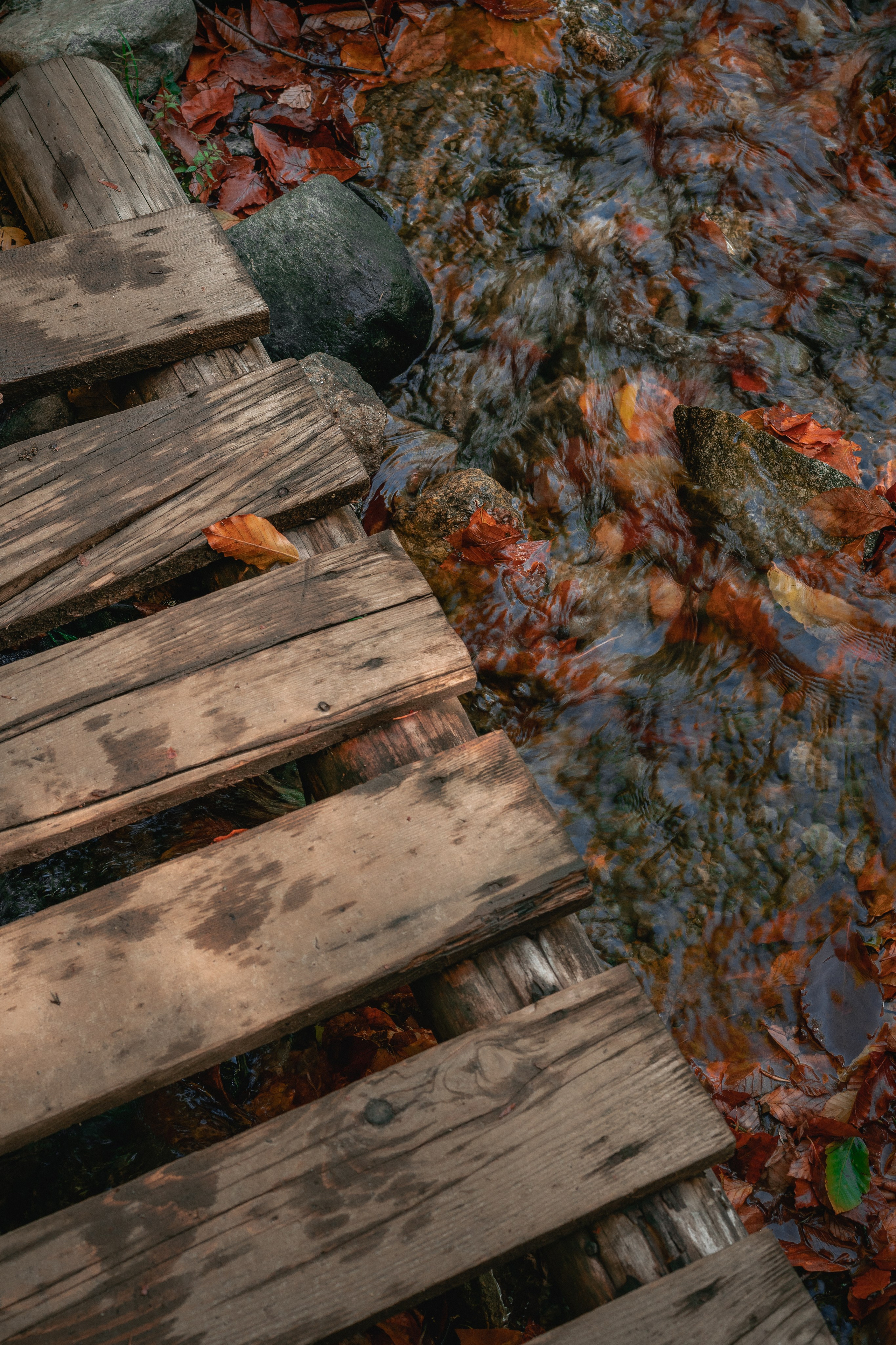 Вдоль по реке Домбай-Ульген. Юля Дэй • Фотограф, Санкт-Петербург