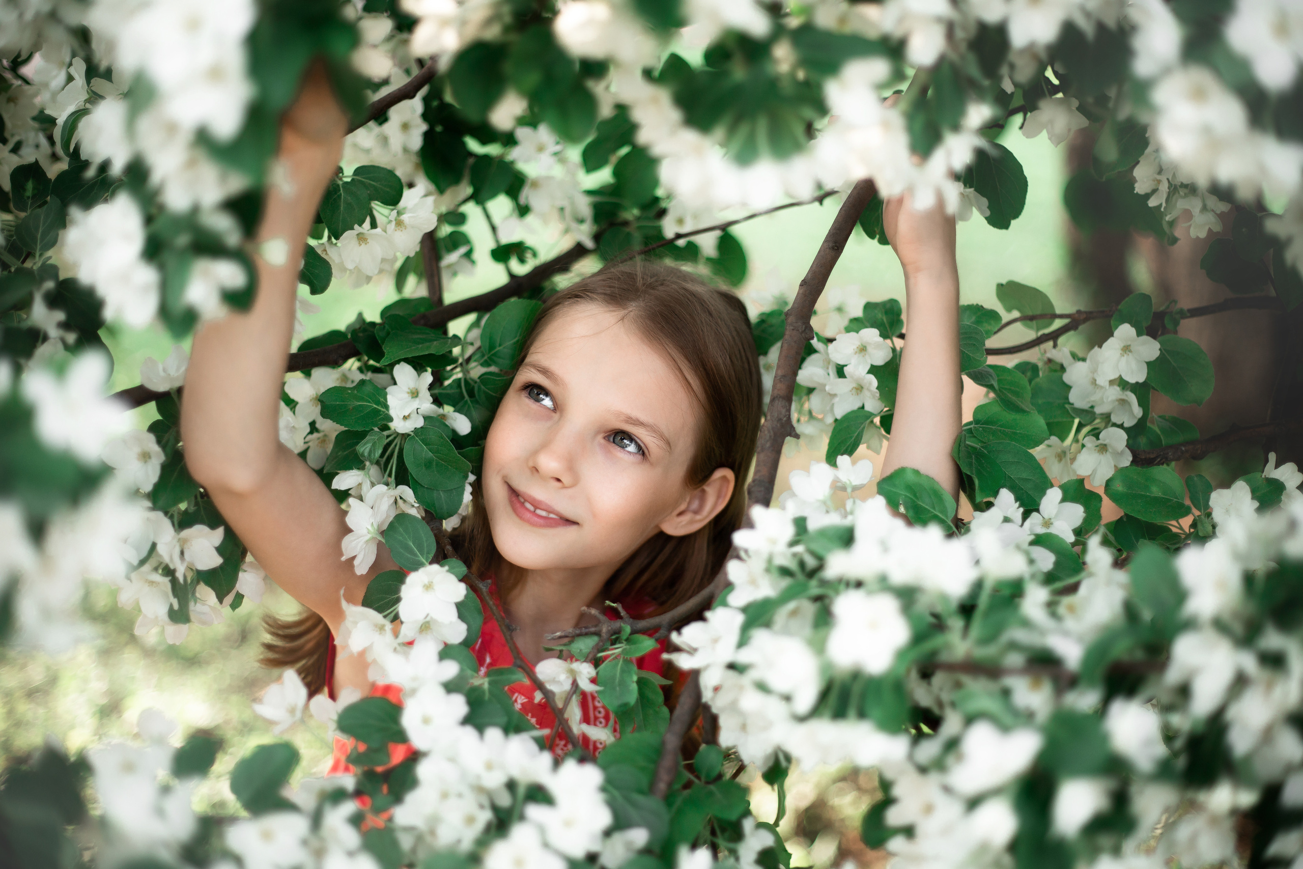 фотосессия в цветущих яблонях пермь