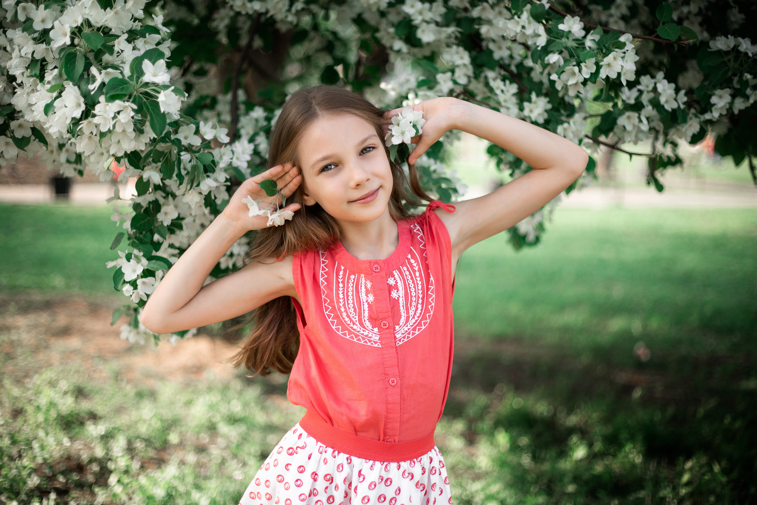 Фотопрогулка. Яблоня