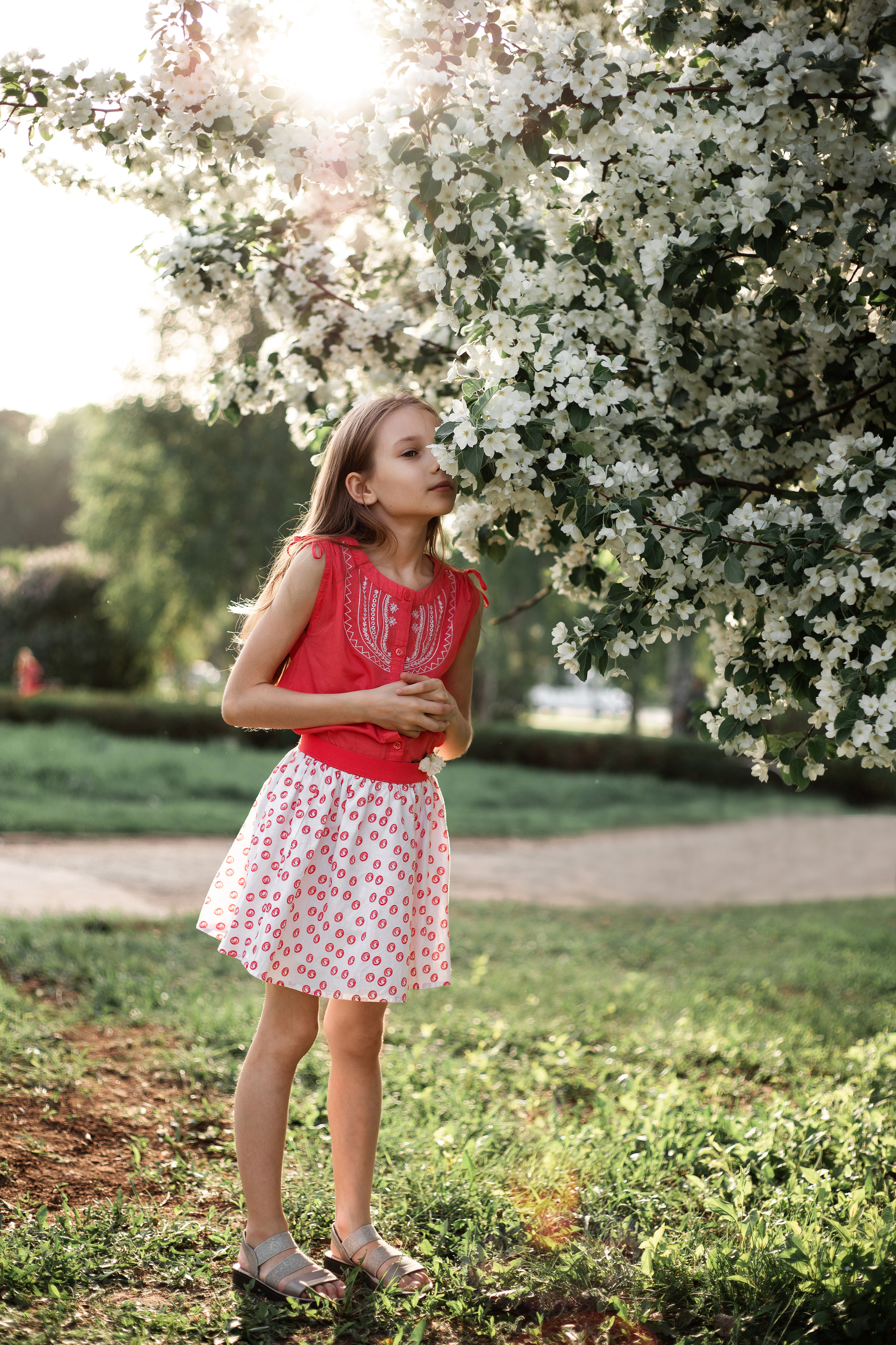 Фото Яблоня Пермь