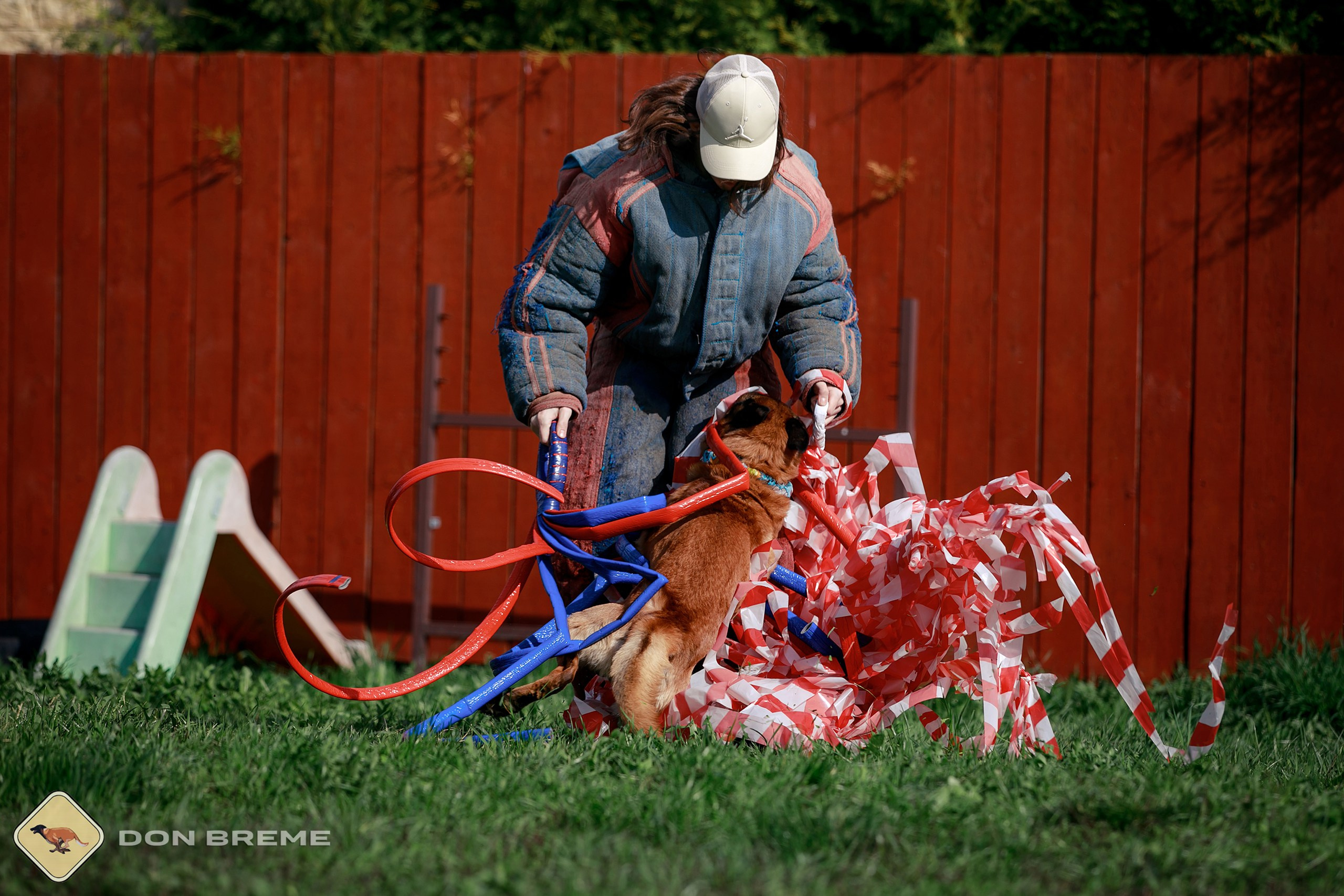Семинар для фигурантов, день 2. Фотограф-анималист Mary Mart — Москва, Питер