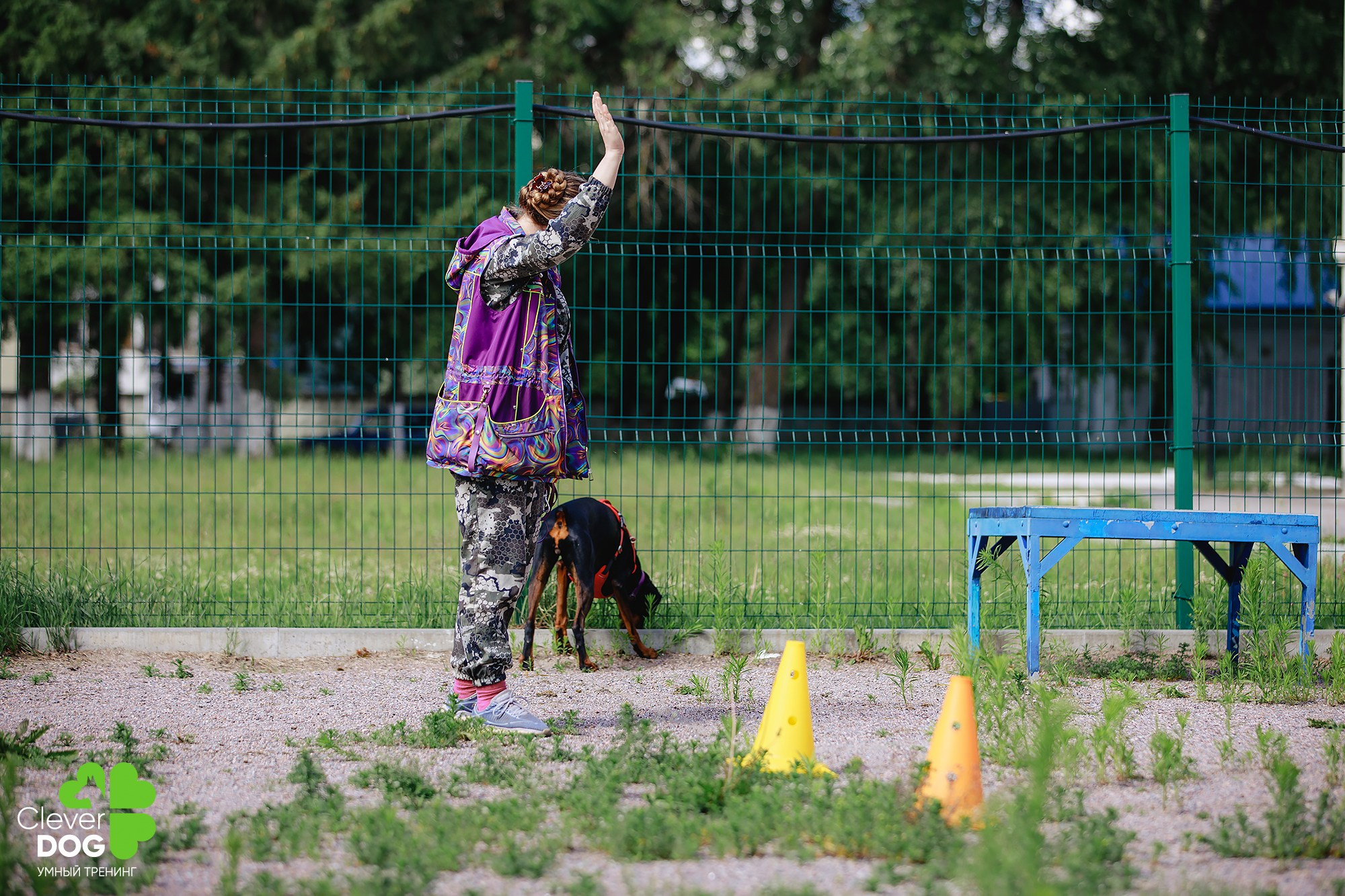 Семинар по поиску запаха с Иваном Ломовым, организатор CleverDog, СПб. Фотограф-анималист Mary Mart — Москва, Питер