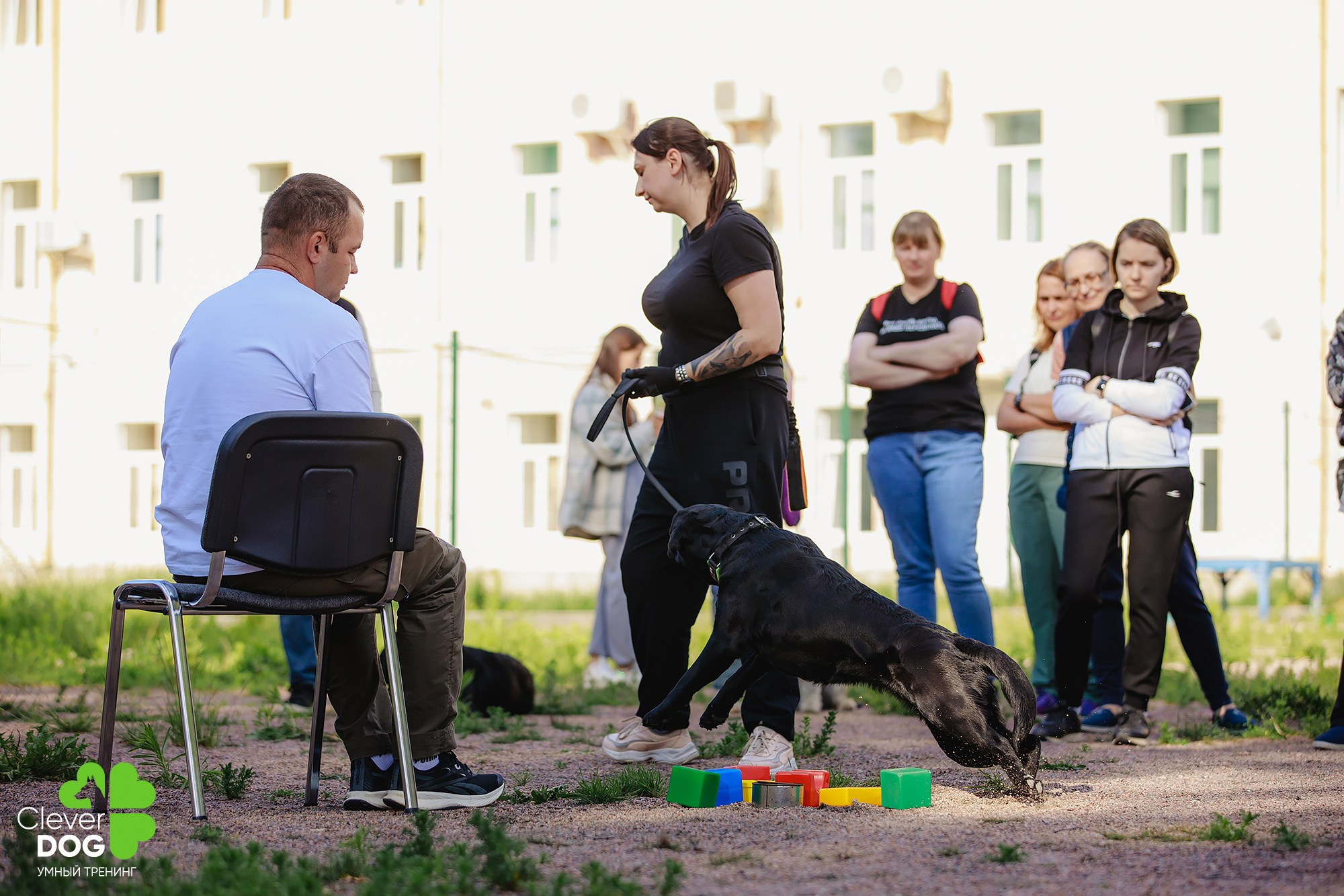 Семинар по поиску запаха с Иваном Ломовым, организатор CleverDog, СПб. Фотограф-анималист Mary Mart — Москва, Питер