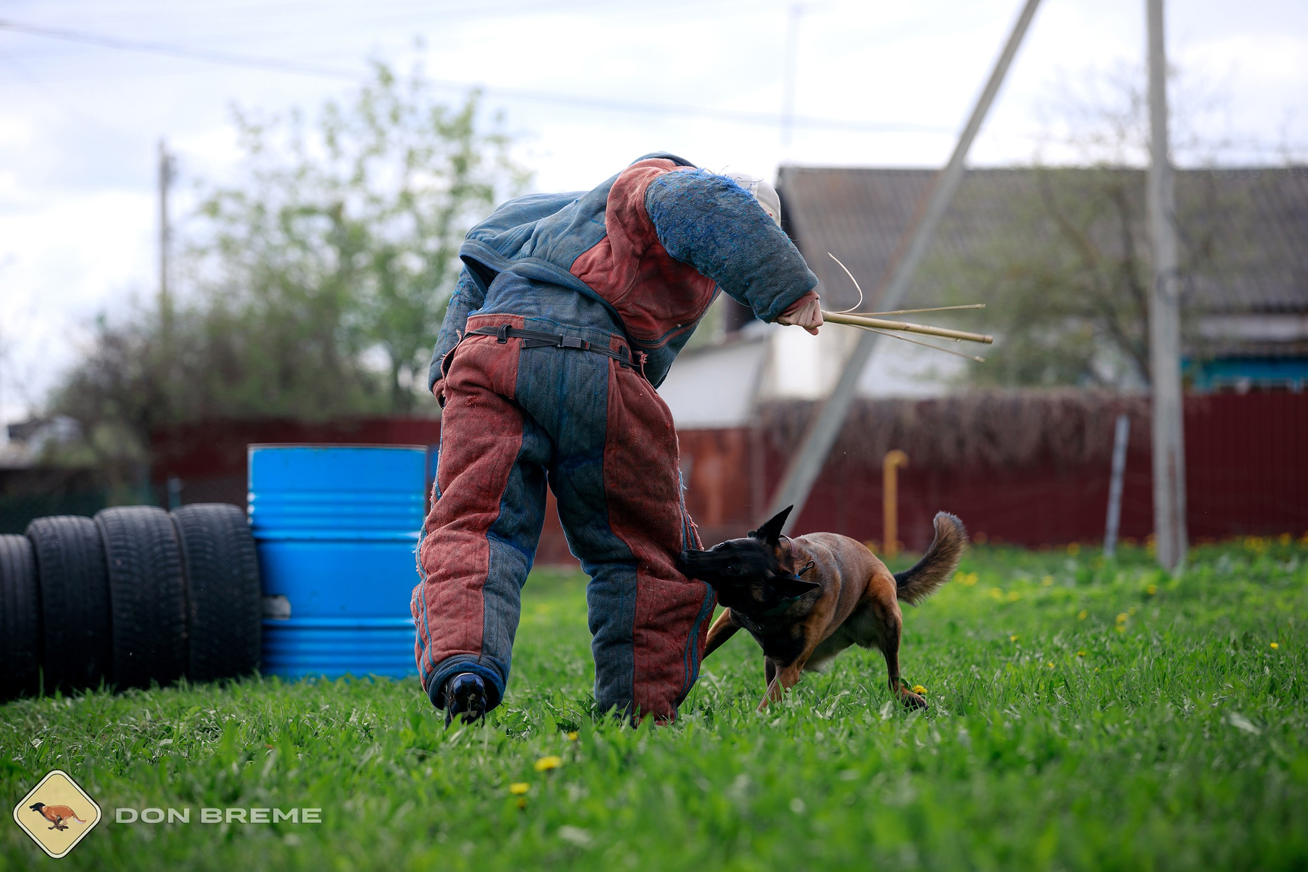 Семинар для фигурантов, день 2. Фотограф-анималист Mary Mart — Москва, Питер