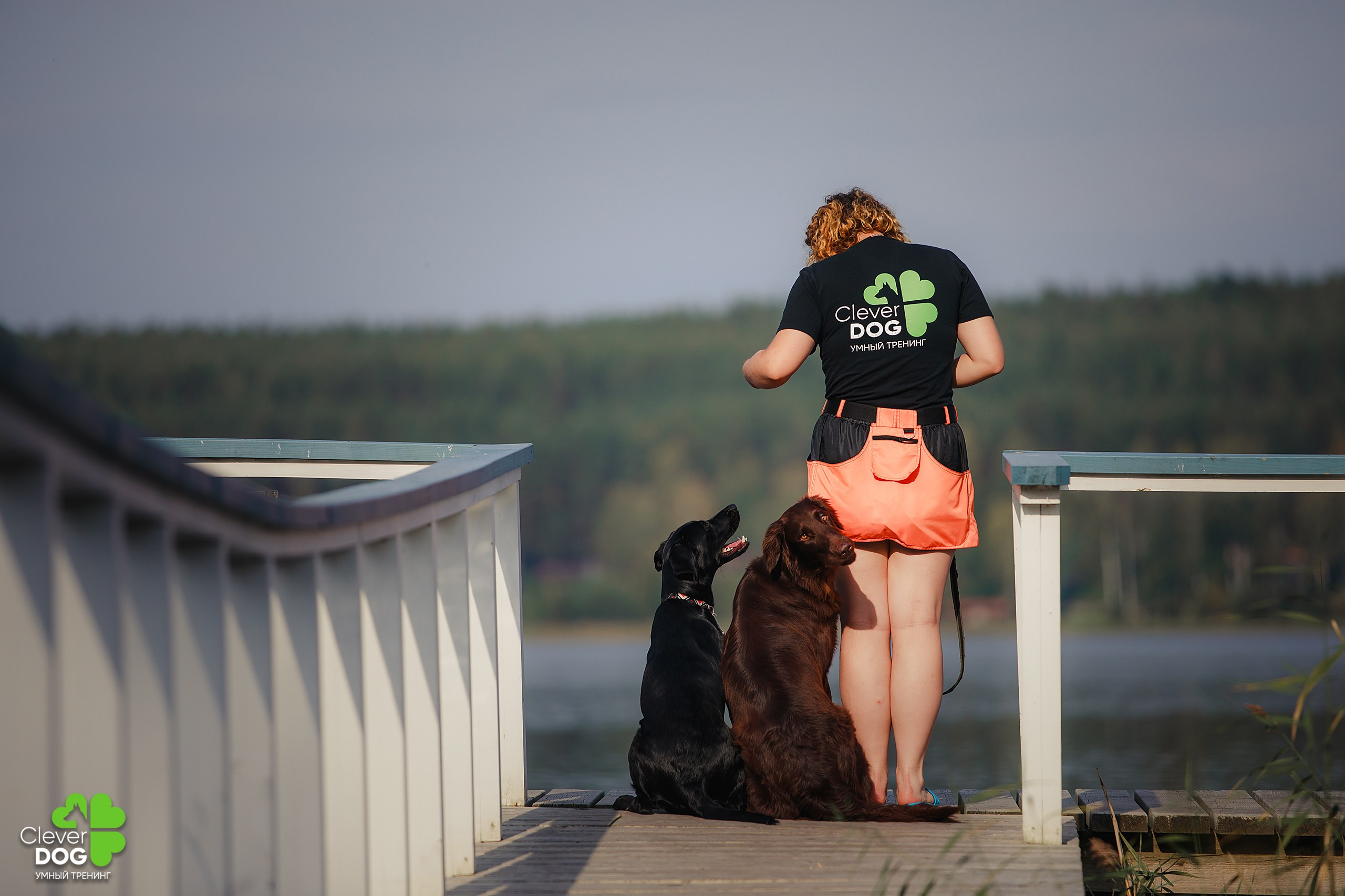 Кинологический лагерь CleverDog, 2024. Фотограф-анималист Mary Mart — Москва, Питер